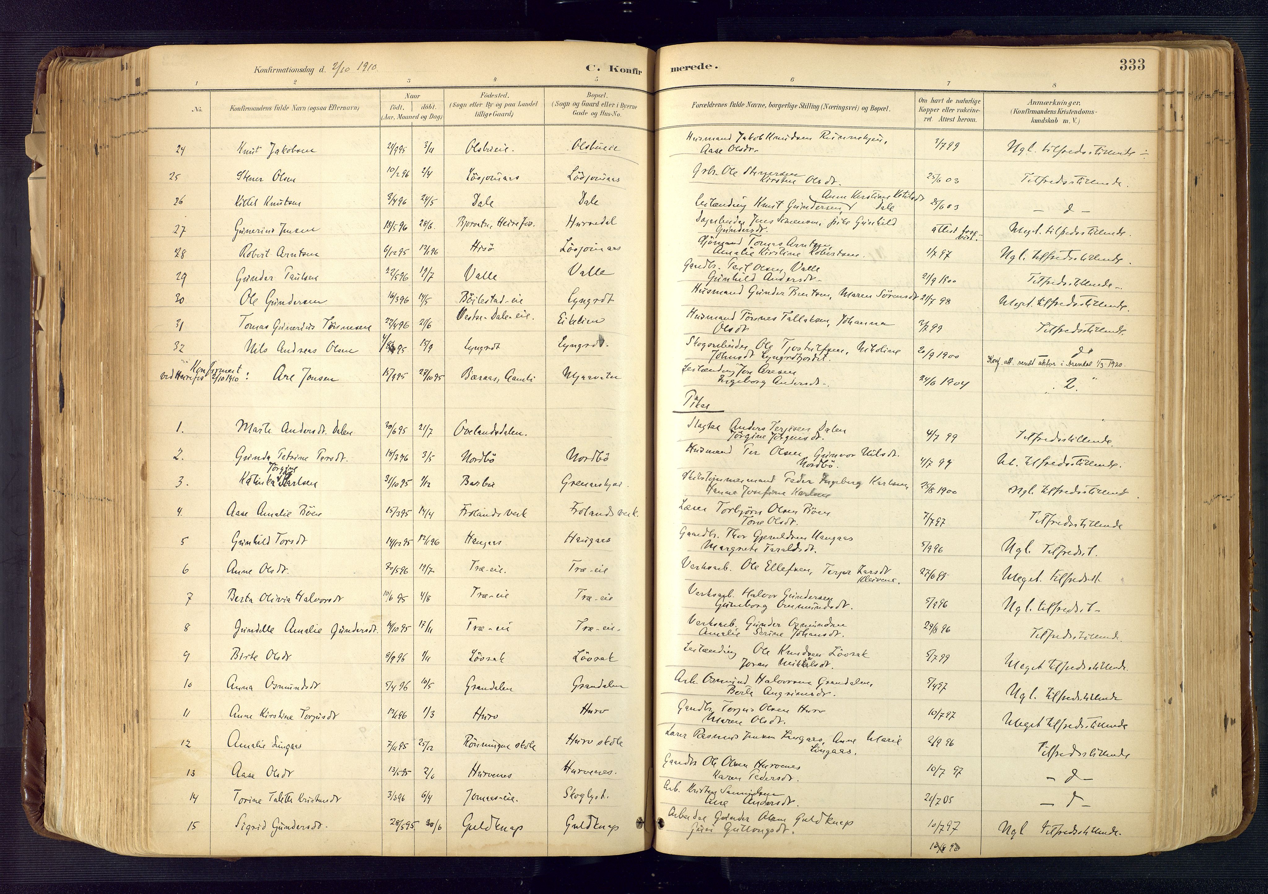 Froland sokneprestkontor, SAK/1111-0013/F/Fa/L0005: Parish register (official) no. A 5, 1882-1921, p. 333