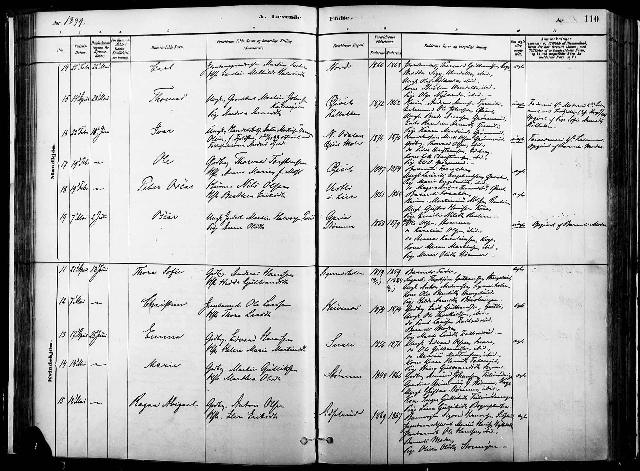 Vinger prestekontor, AV/SAH-PREST-024/H/Ha/Haa/L0014: Parish register (official) no. 14, 1881-1900, p. 110