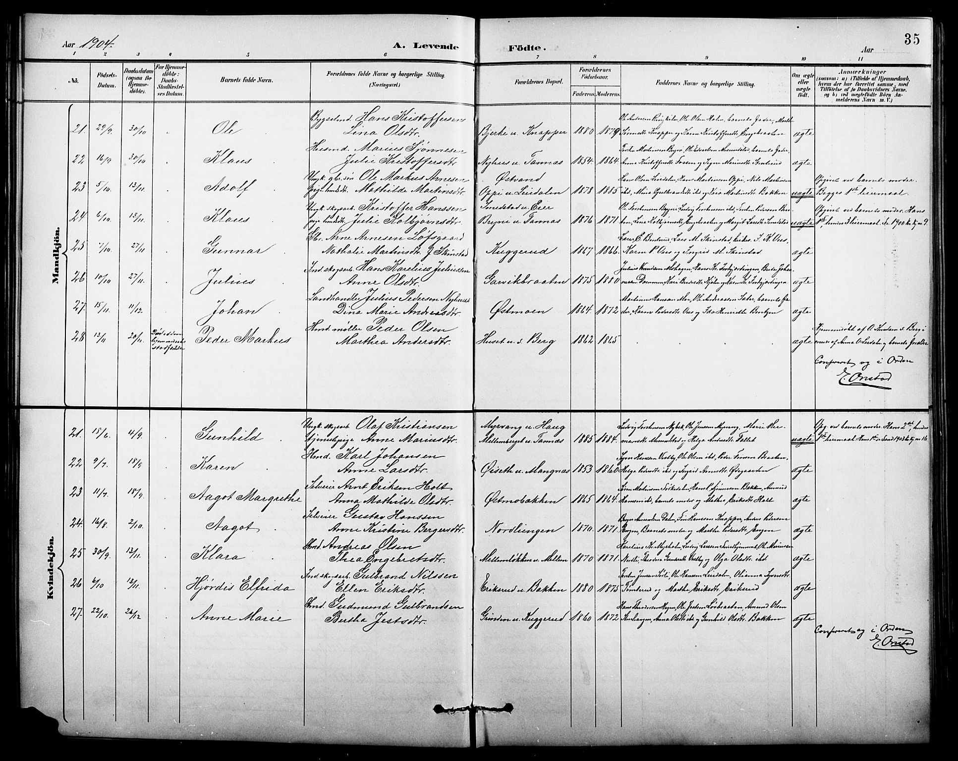 Nord-Odal prestekontor, AV/SAH-PREST-032/H/Ha/Hab/L0002: Parish register (copy) no. 2, 1895-1921, p. 35