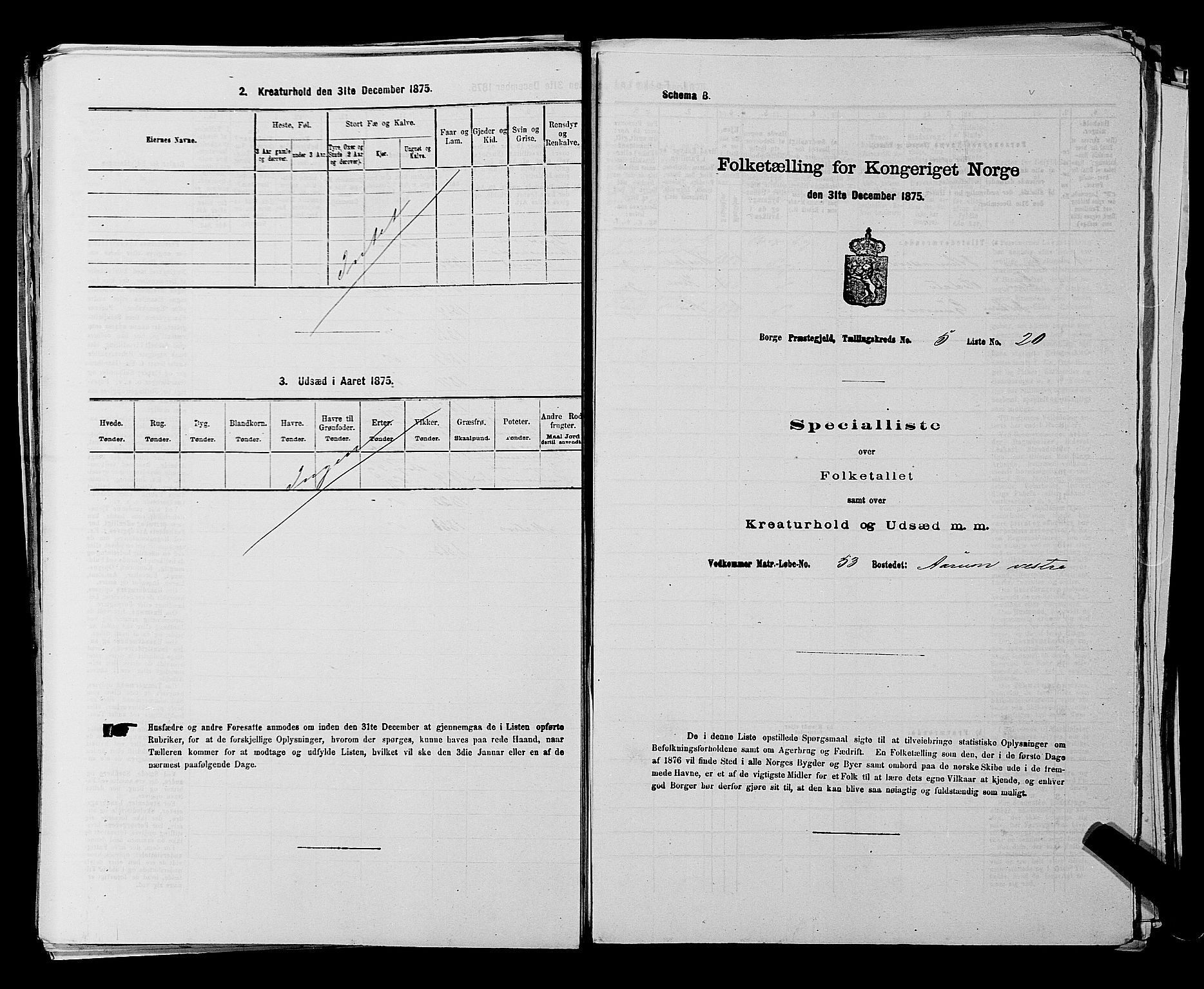 RA, 1875 census for 0113P Borge, 1875, p. 805