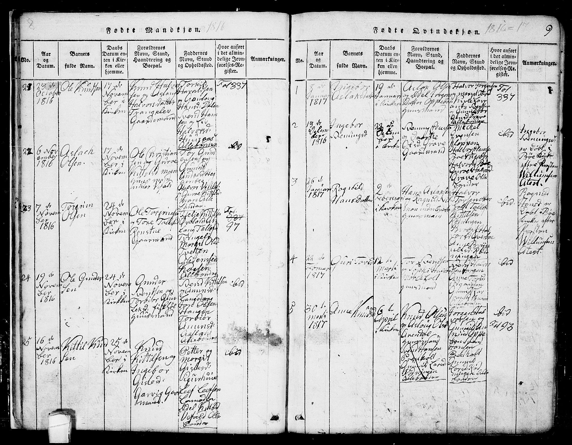 Seljord kirkebøker, AV/SAKO-A-20/G/Ga/L0001: Parish register (copy) no. I 1, 1815-1854, p. 9