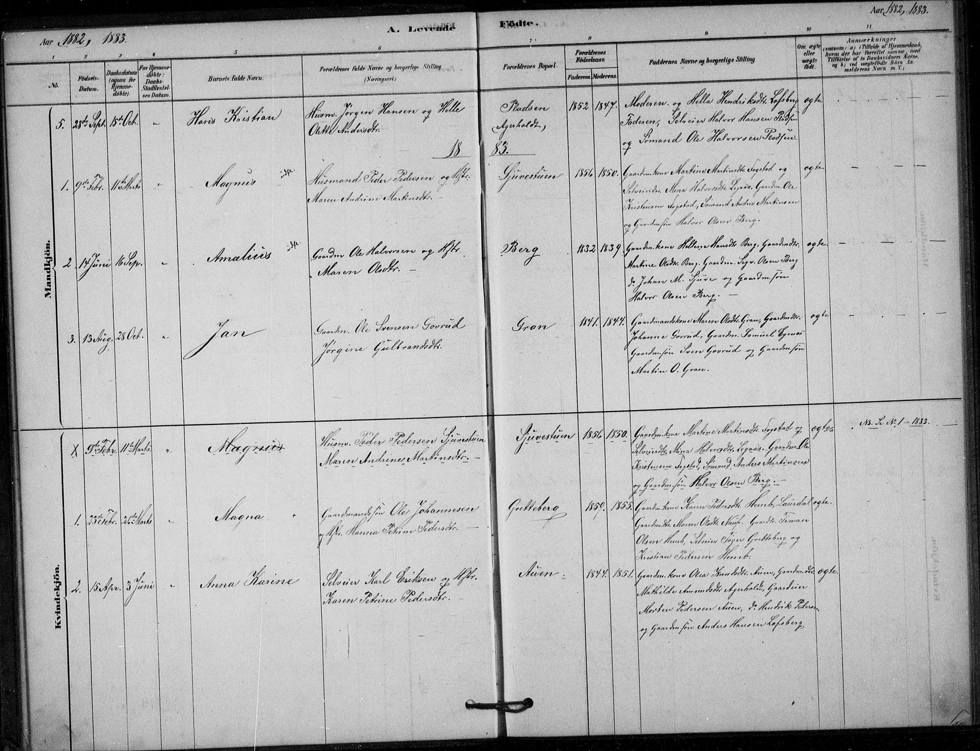 Hof kirkebøker, AV/SAKO-A-64/G/Gb/L0002: Parish register (copy) no. II 2, 1878-1902