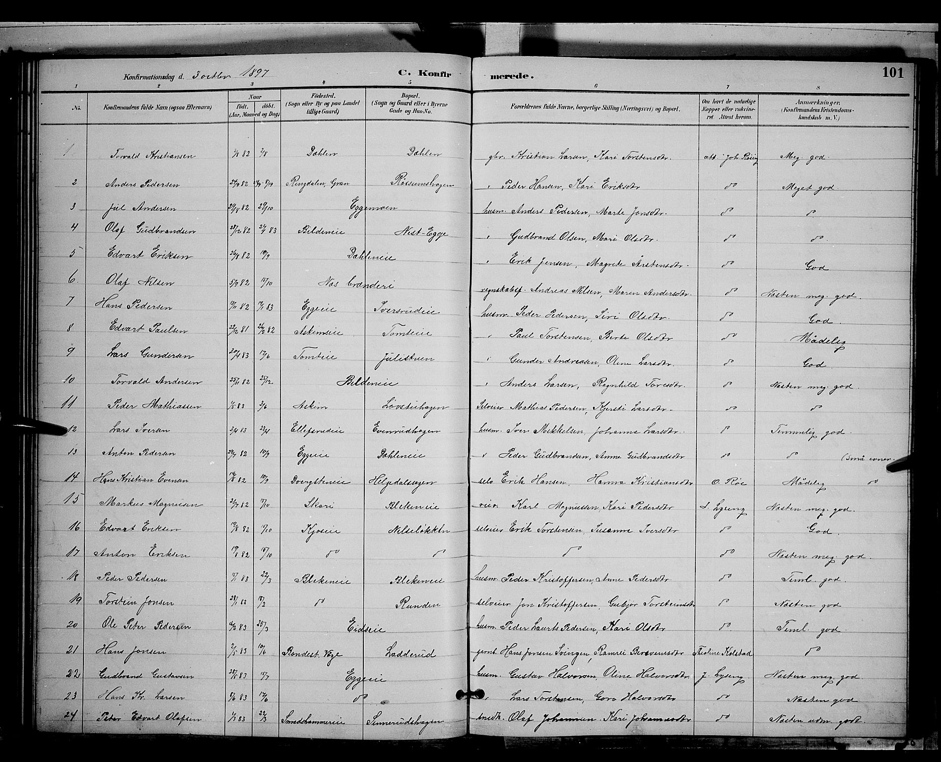 Gran prestekontor, AV/SAH-PREST-112/H/Ha/Hab/L0004: Parish register (copy) no. 4, 1890-1899, p. 101