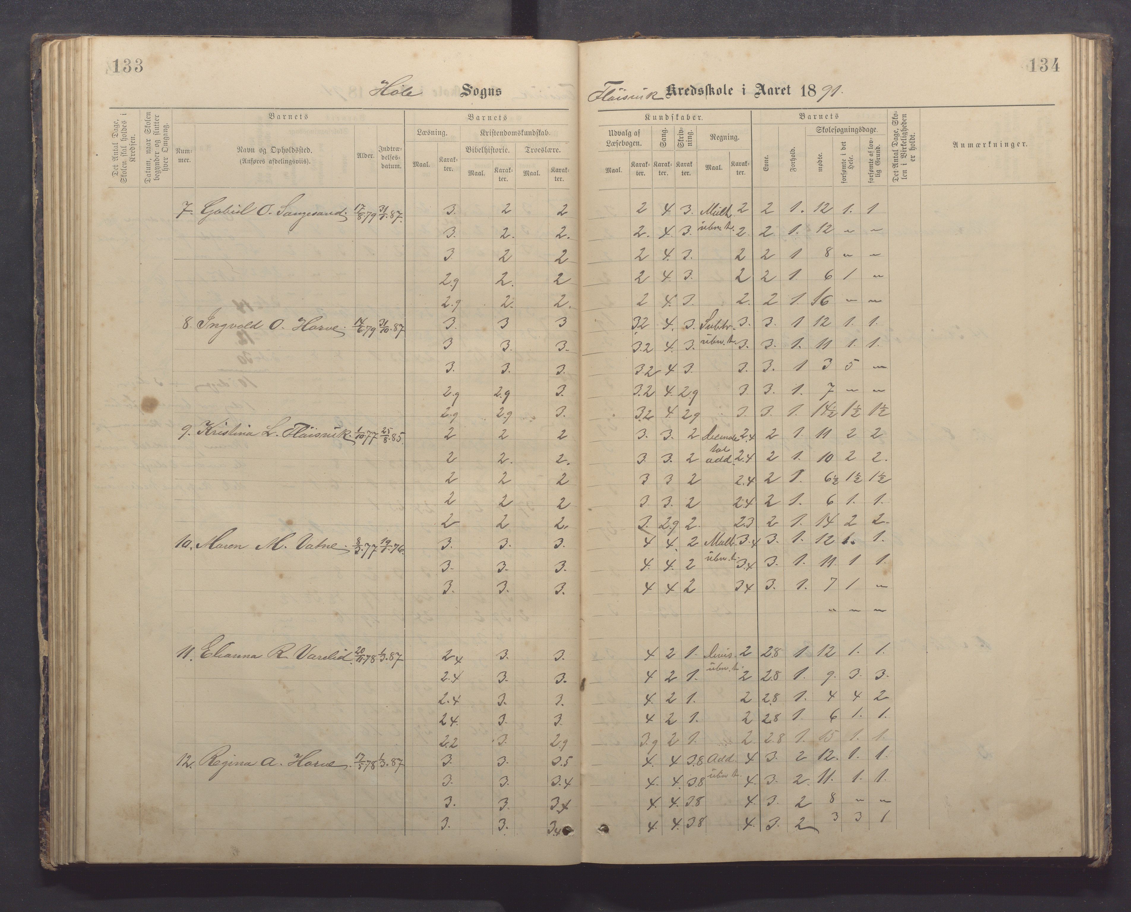 Høle kommune - Tengesdal skole, IKAR/K-100033/F/L0001: Skoleprotokoll, 1884-1893, p. 133-134