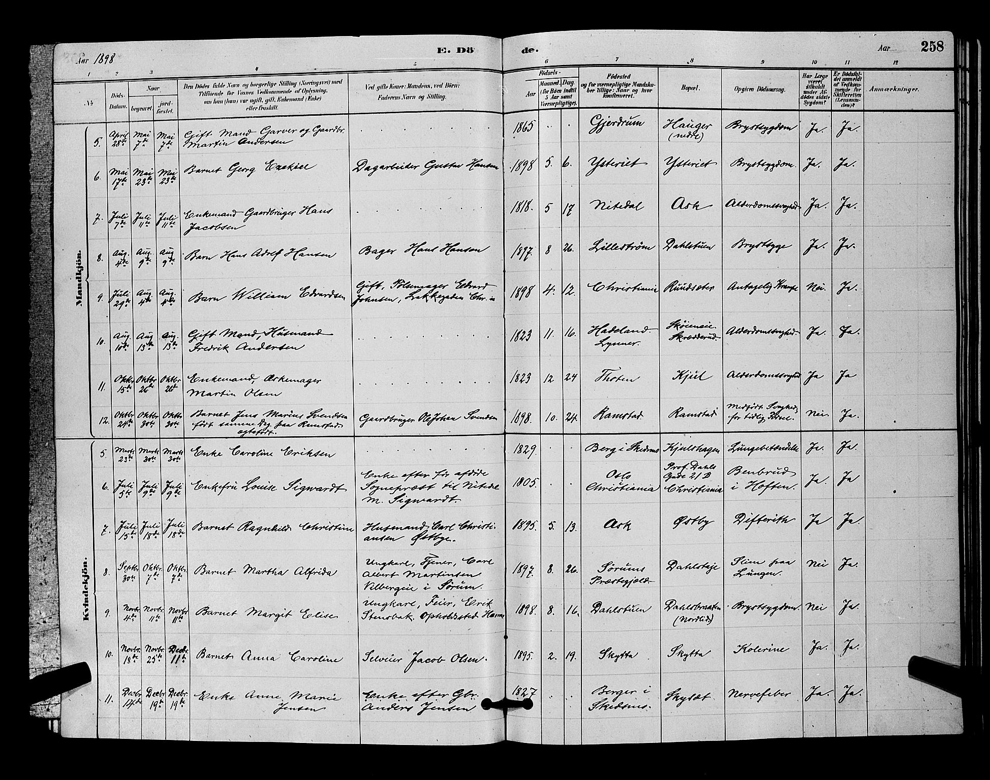 Nittedal prestekontor Kirkebøker, SAO/A-10365a/G/Ga/L0002: Parish register (copy) no. I 2, 1879-1901, p. 258