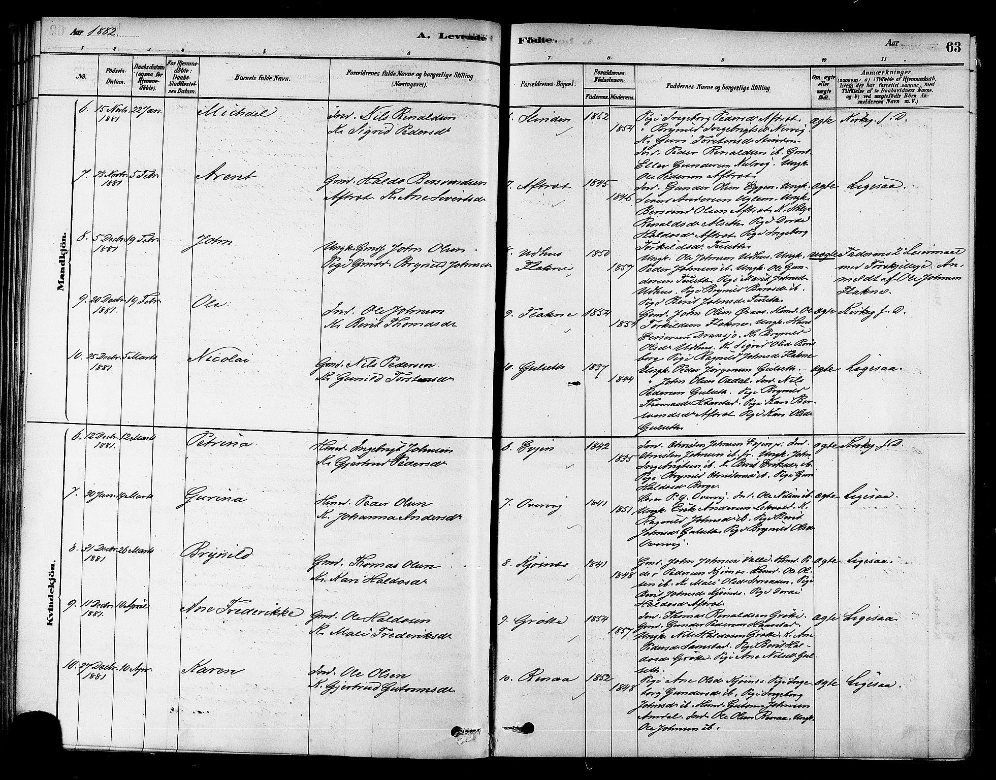 Ministerialprotokoller, klokkerbøker og fødselsregistre - Sør-Trøndelag, AV/SAT-A-1456/695/L1148: Parish register (official) no. 695A08, 1878-1891, p. 63