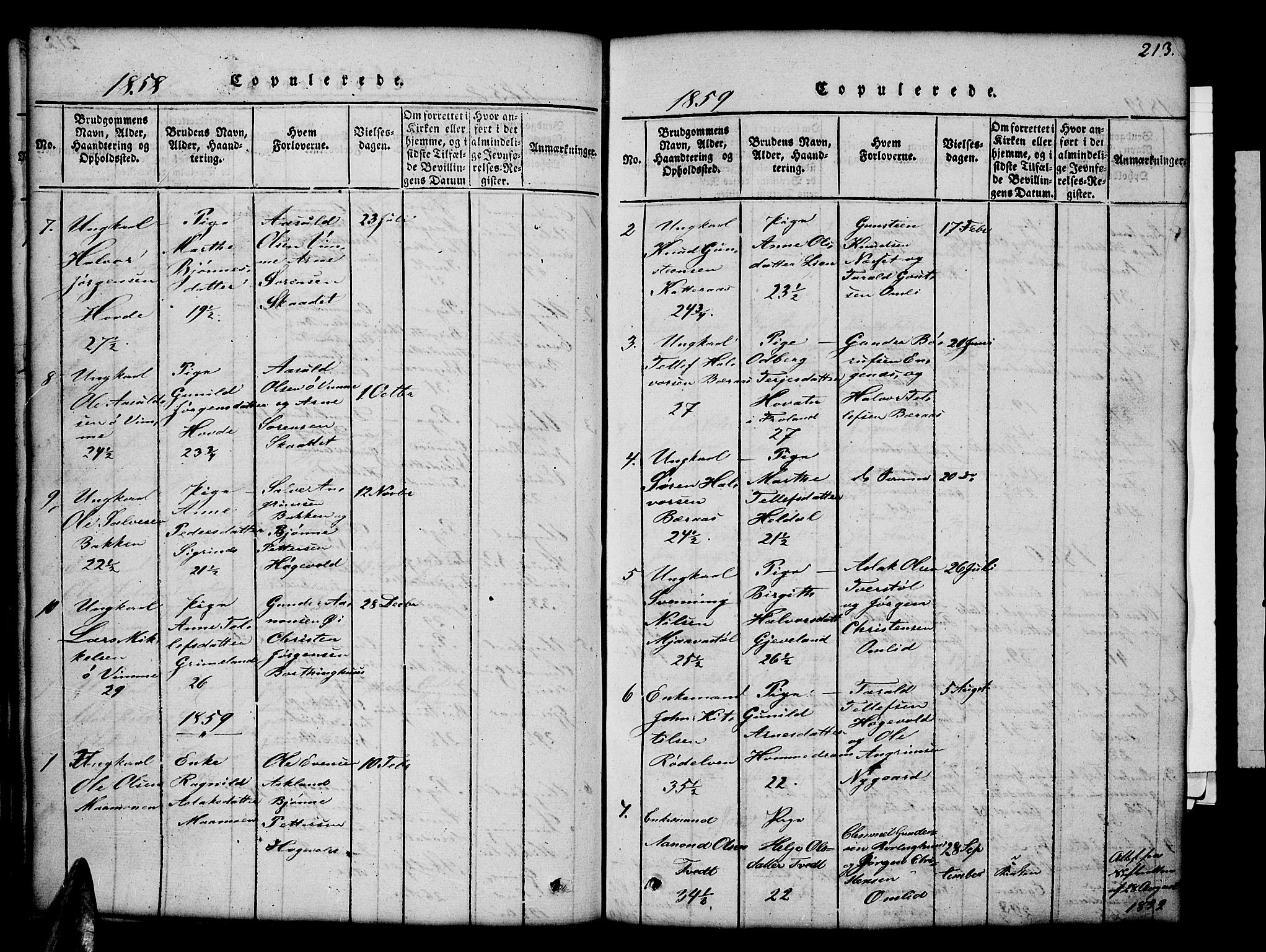 Åmli sokneprestkontor, AV/SAK-1111-0050/F/Fb/Fbc/L0001: Parish register (copy) no. B 1, 1816-1867, p. 213