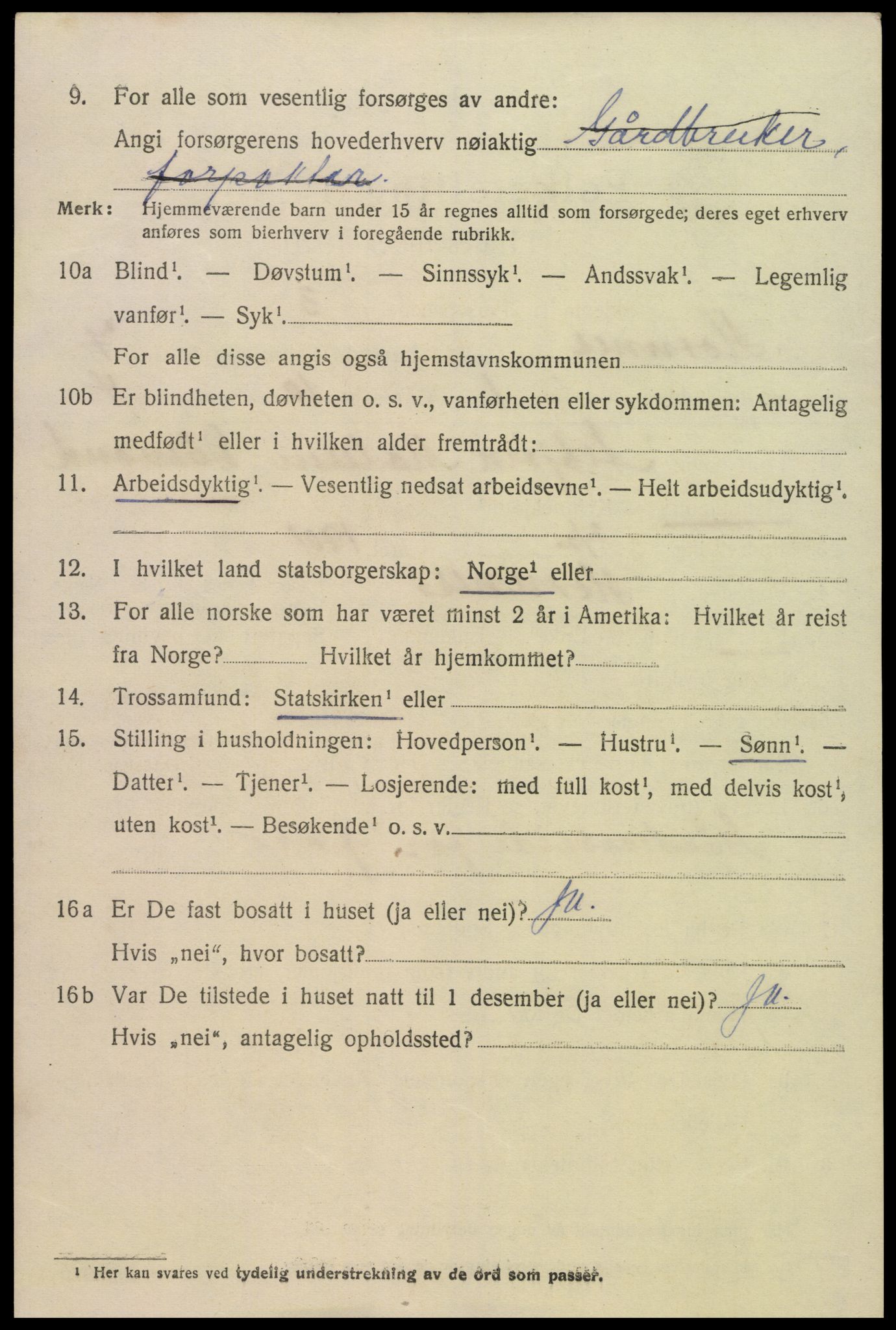 SAK, 1920 census for Hornnes, 1920, p. 1652