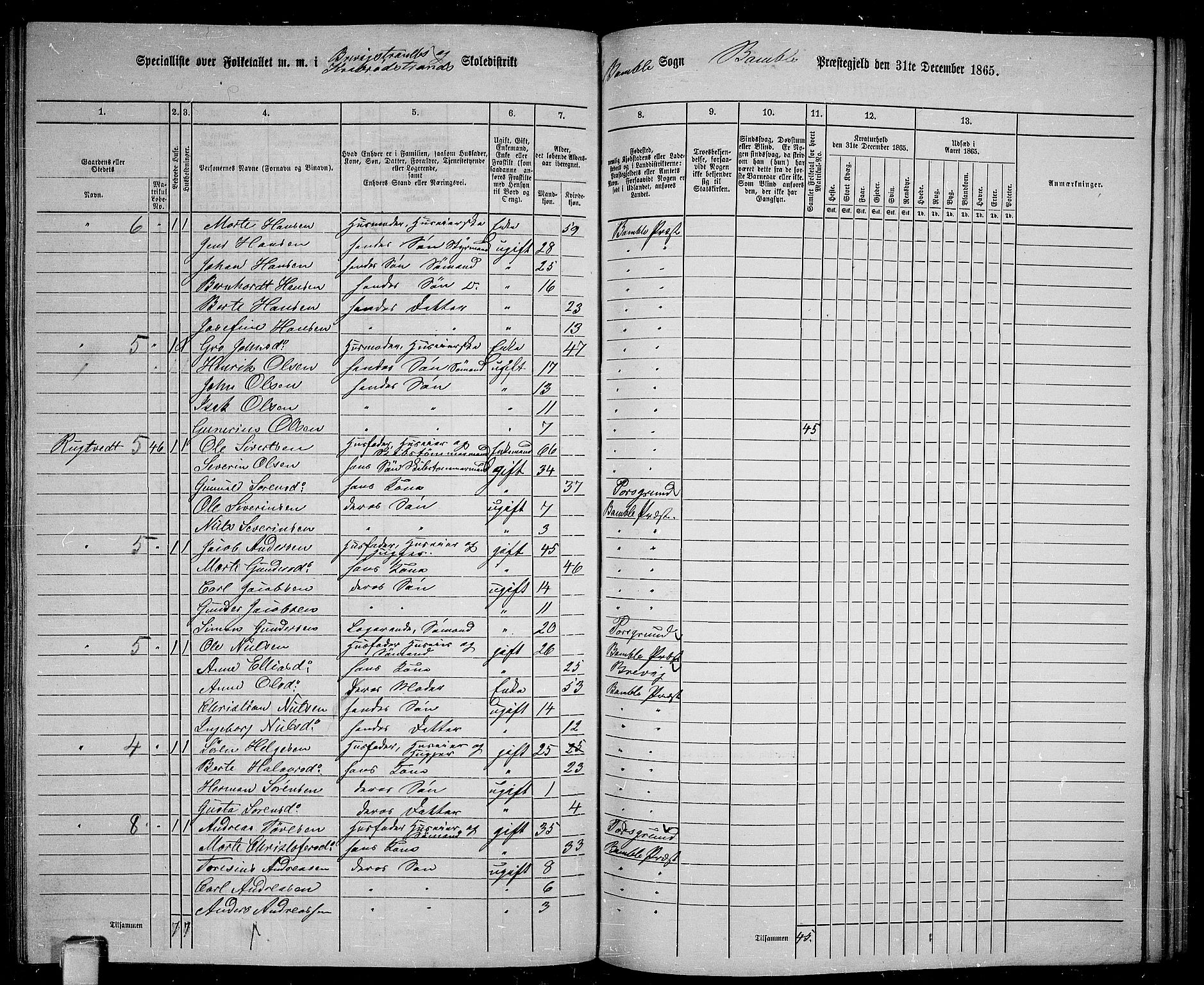 RA, 1865 census for Bamble, 1865, p. 141