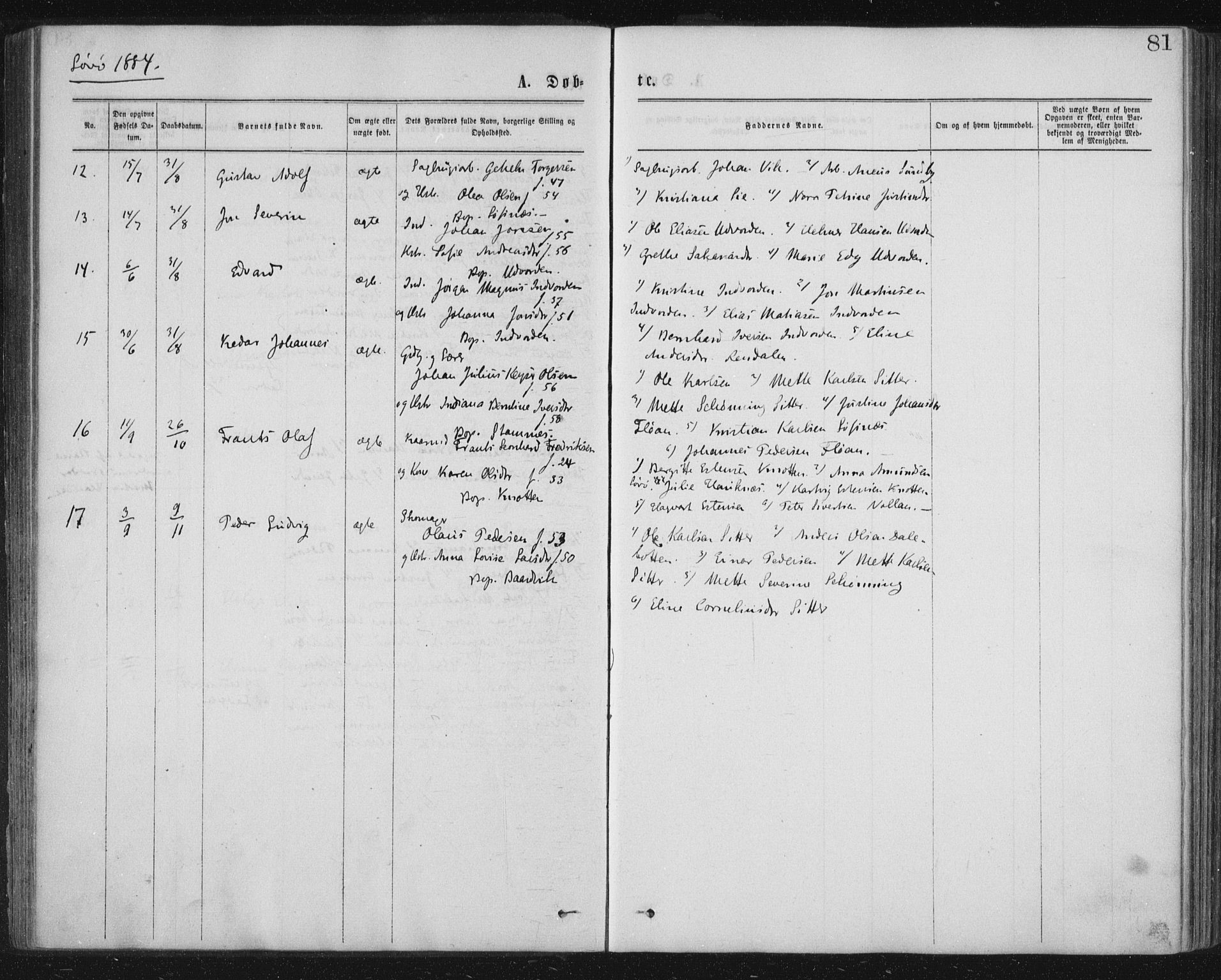 Ministerialprotokoller, klokkerbøker og fødselsregistre - Nord-Trøndelag, AV/SAT-A-1458/771/L0596: Parish register (official) no. 771A03, 1870-1884, p. 81