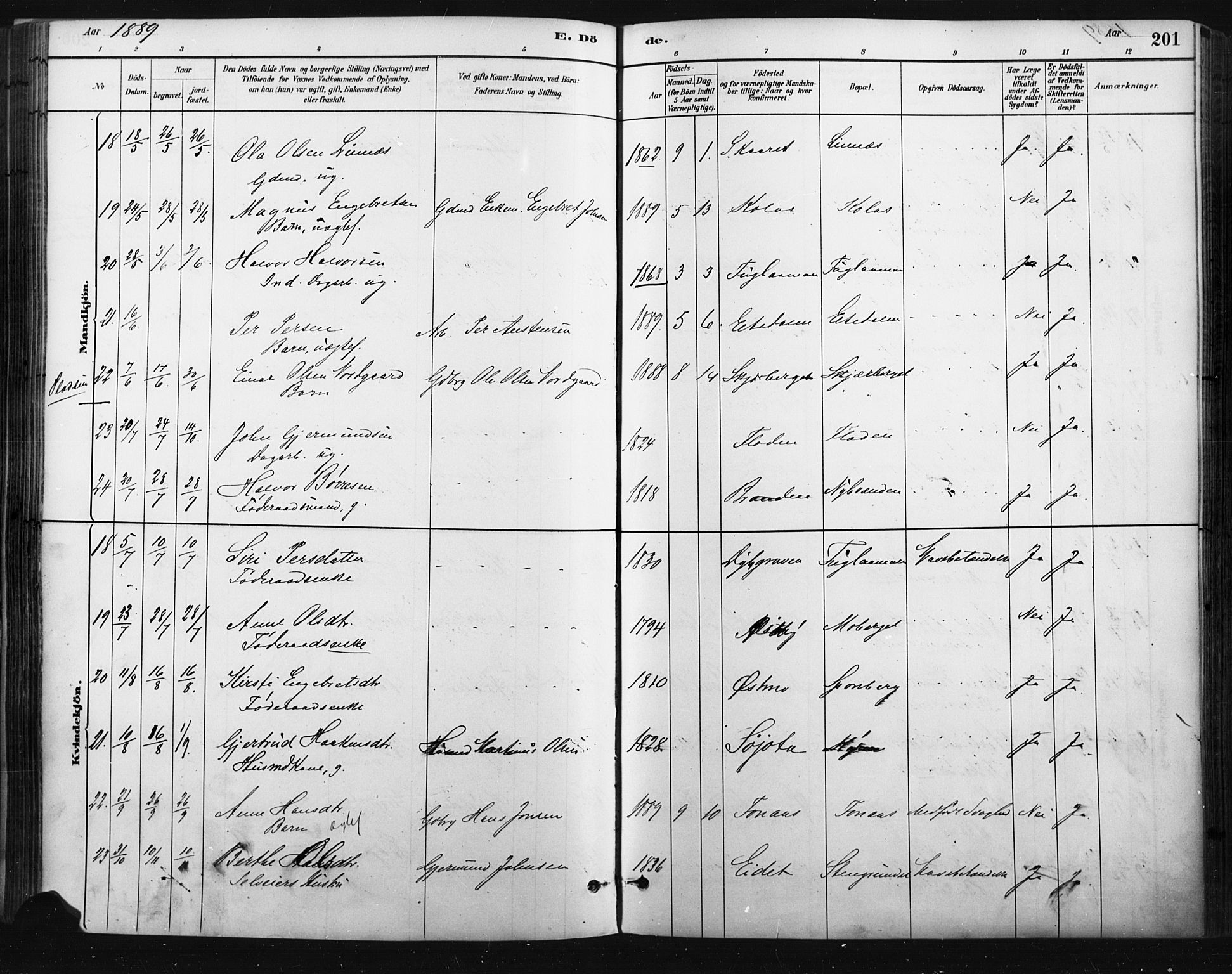 Trysil prestekontor, AV/SAH-PREST-046/H/Ha/Haa/L0009: Parish register (official) no. 9, 1881-1897, p. 201