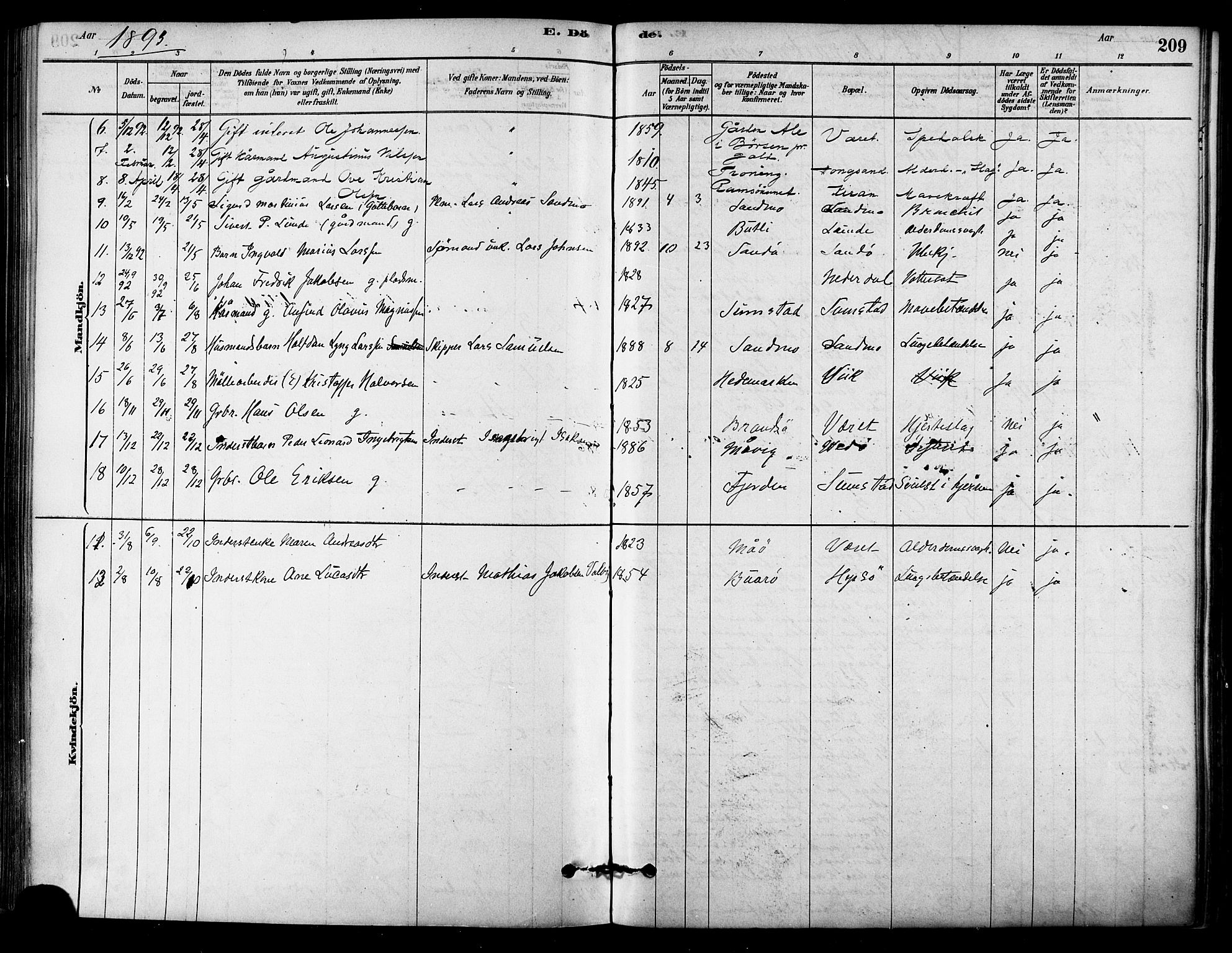 Ministerialprotokoller, klokkerbøker og fødselsregistre - Sør-Trøndelag, SAT/A-1456/657/L0707: Parish register (official) no. 657A08, 1879-1893, p. 209