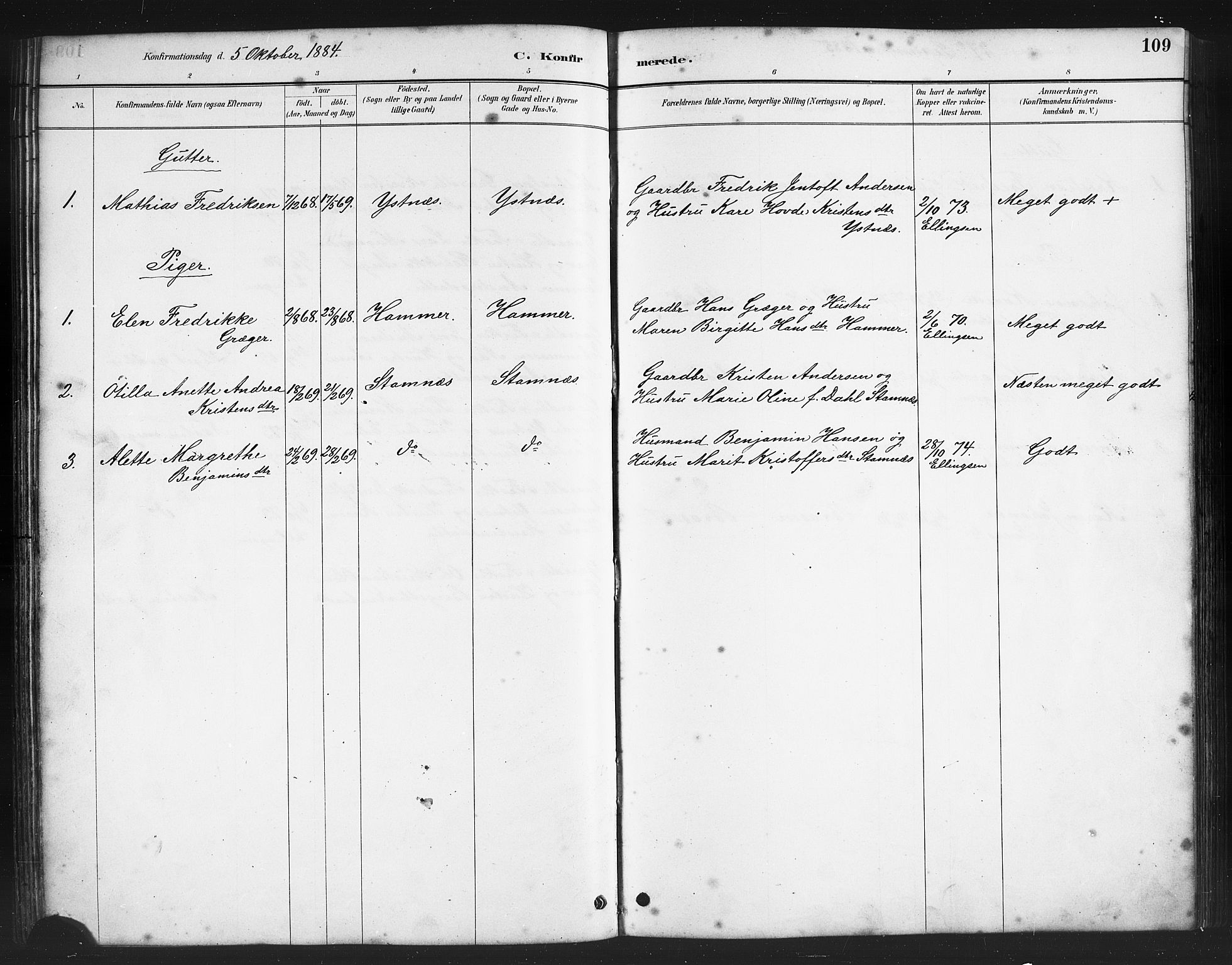 Ministerialprotokoller, klokkerbøker og fødselsregistre - Nordland, AV/SAT-A-1459/808/L0131: Parish register (copy) no. 808C02, 1879-1919, p. 109