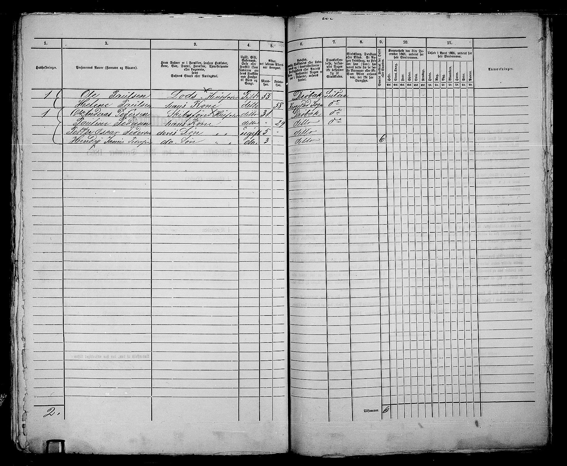 RA, 1865 census for Drøbak/Drøbak, 1865, p. 424