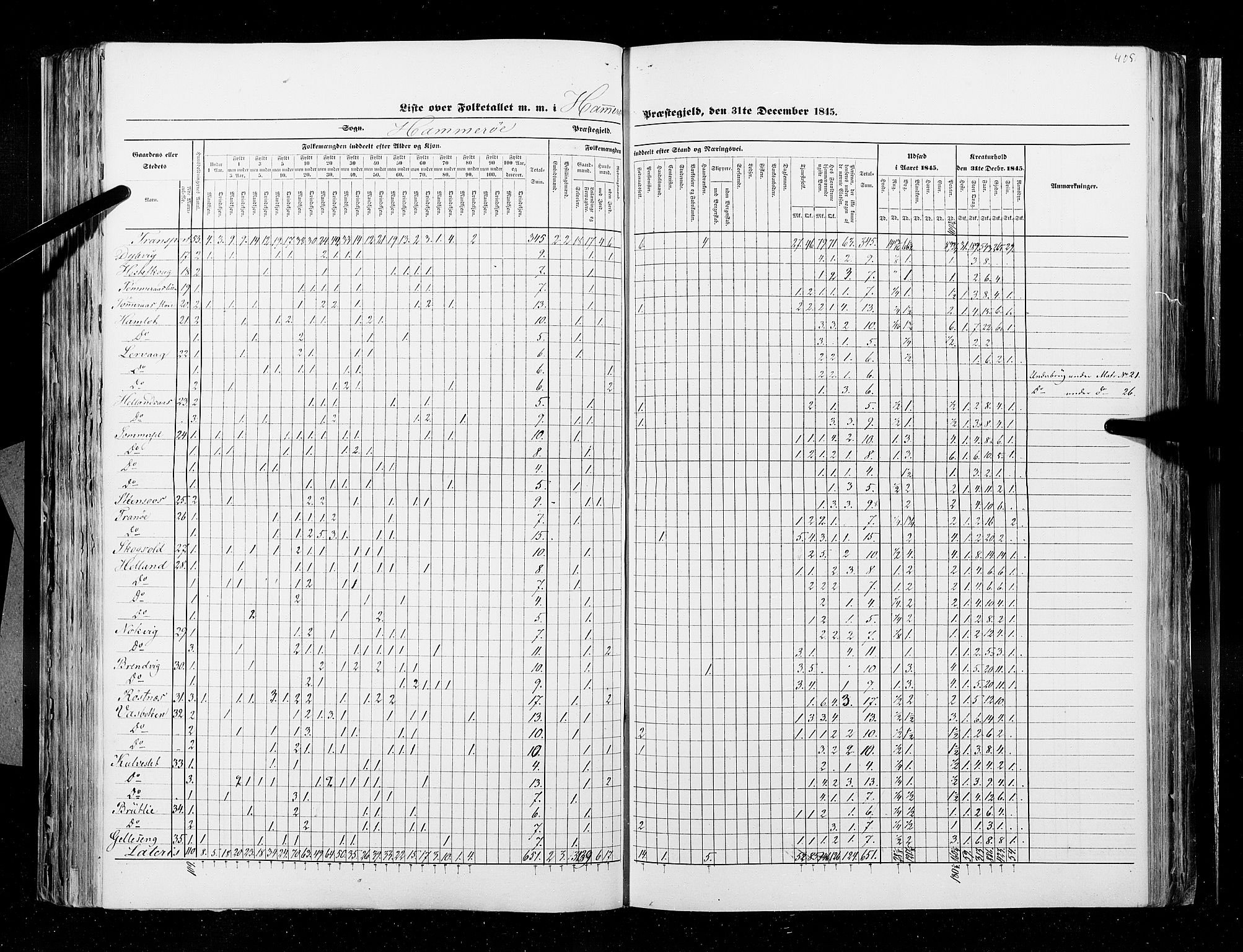 RA, Census 1845, vol. 9B: Nordland amt, 1845, p. 405