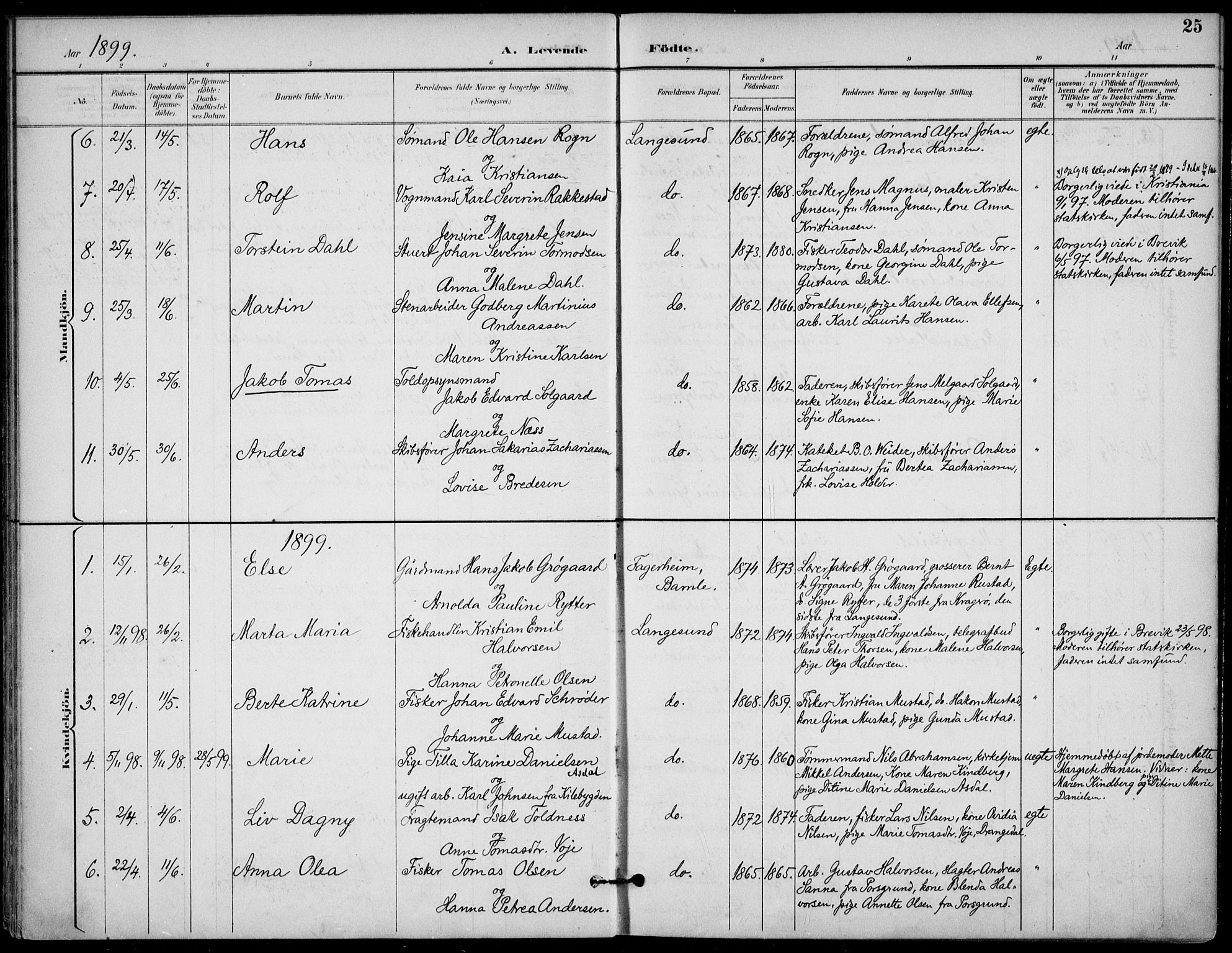 Langesund kirkebøker, SAKO/A-280/F/Fa/L0003: Parish register (official) no. 3, 1893-1907, p. 25