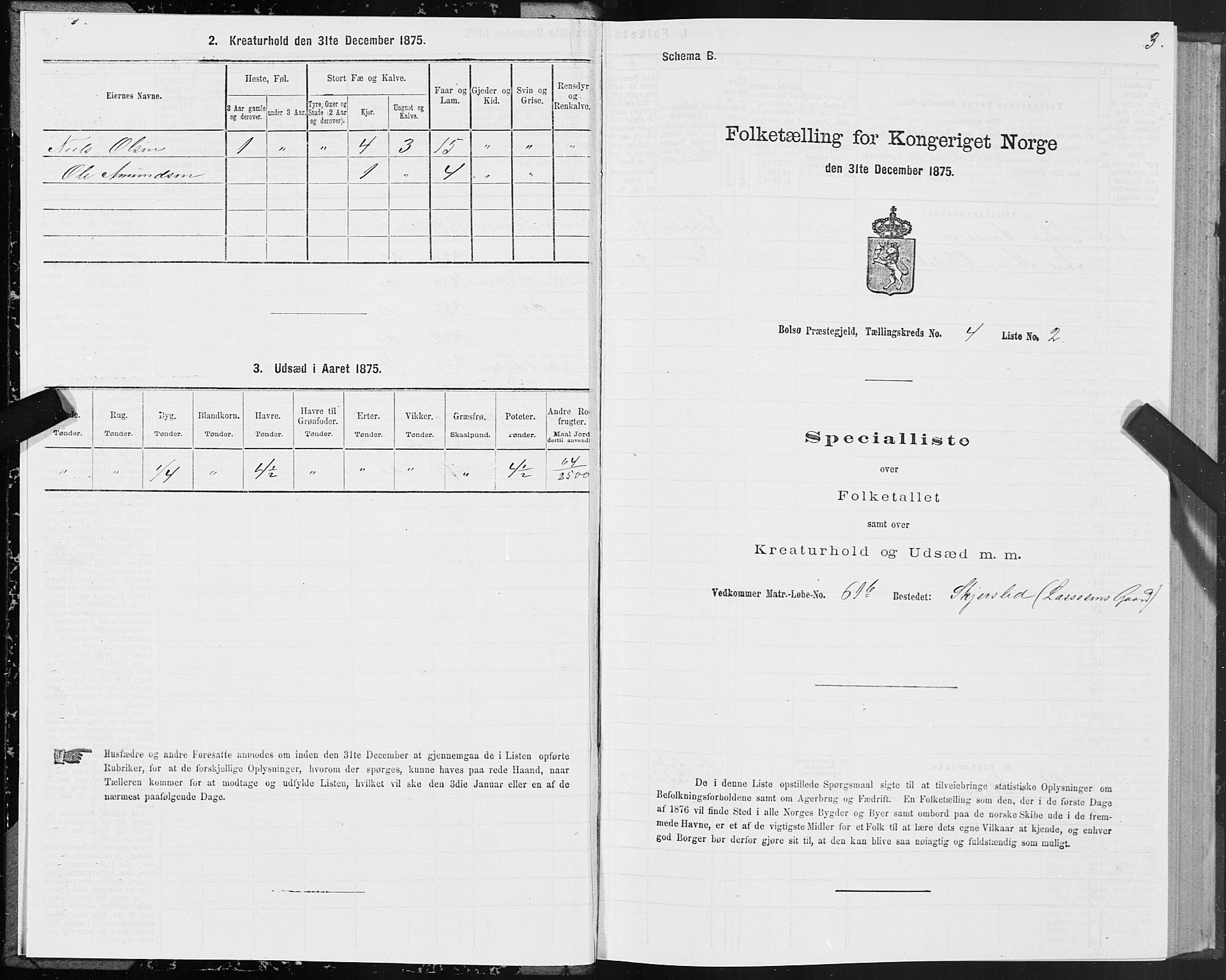 SAT, 1875 census for 1544P Bolsøy, 1875, p. 3003