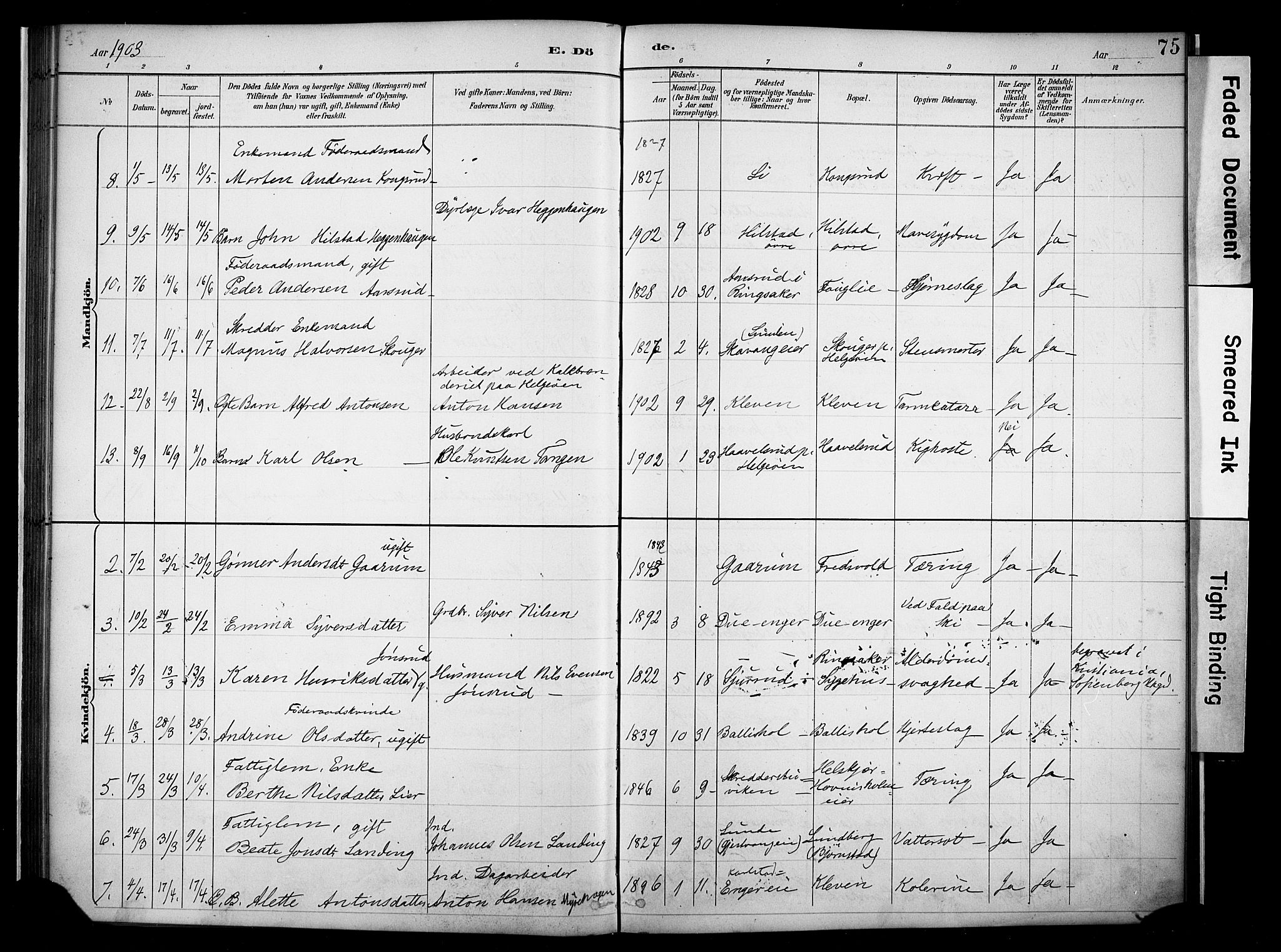 Nes prestekontor, Hedmark, AV/SAH-PREST-020/K/Ka/L0011: Parish register (official) no. 11, 1887-1905, p. 75