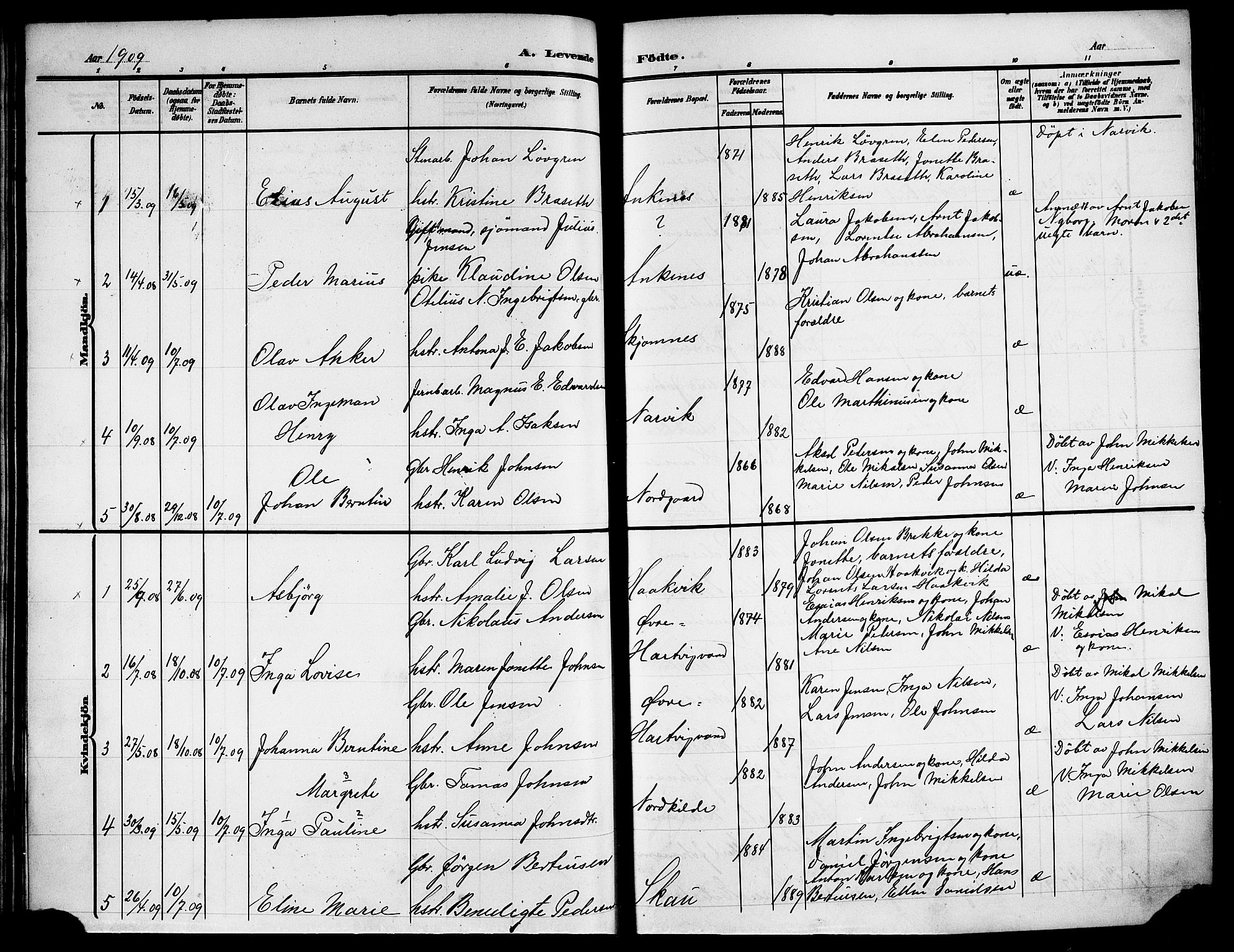 Ministerialprotokoller, klokkerbøker og fødselsregistre - Nordland, AV/SAT-A-1459/866/L0954: Parish register (copy) no. 866C03, 1905-1923