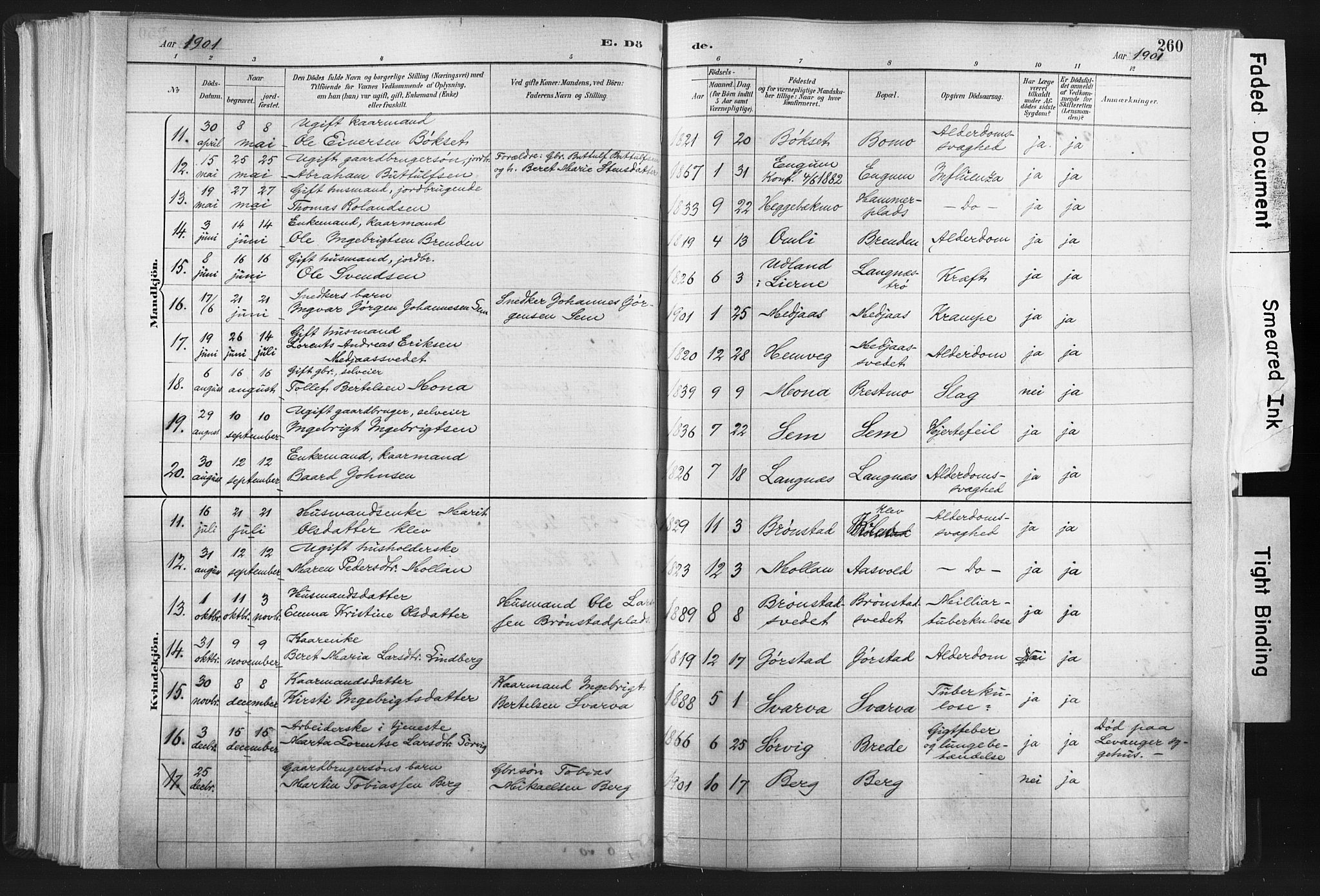 Ministerialprotokoller, klokkerbøker og fødselsregistre - Nord-Trøndelag, AV/SAT-A-1458/749/L0474: Parish register (official) no. 749A08, 1887-1903, p. 260