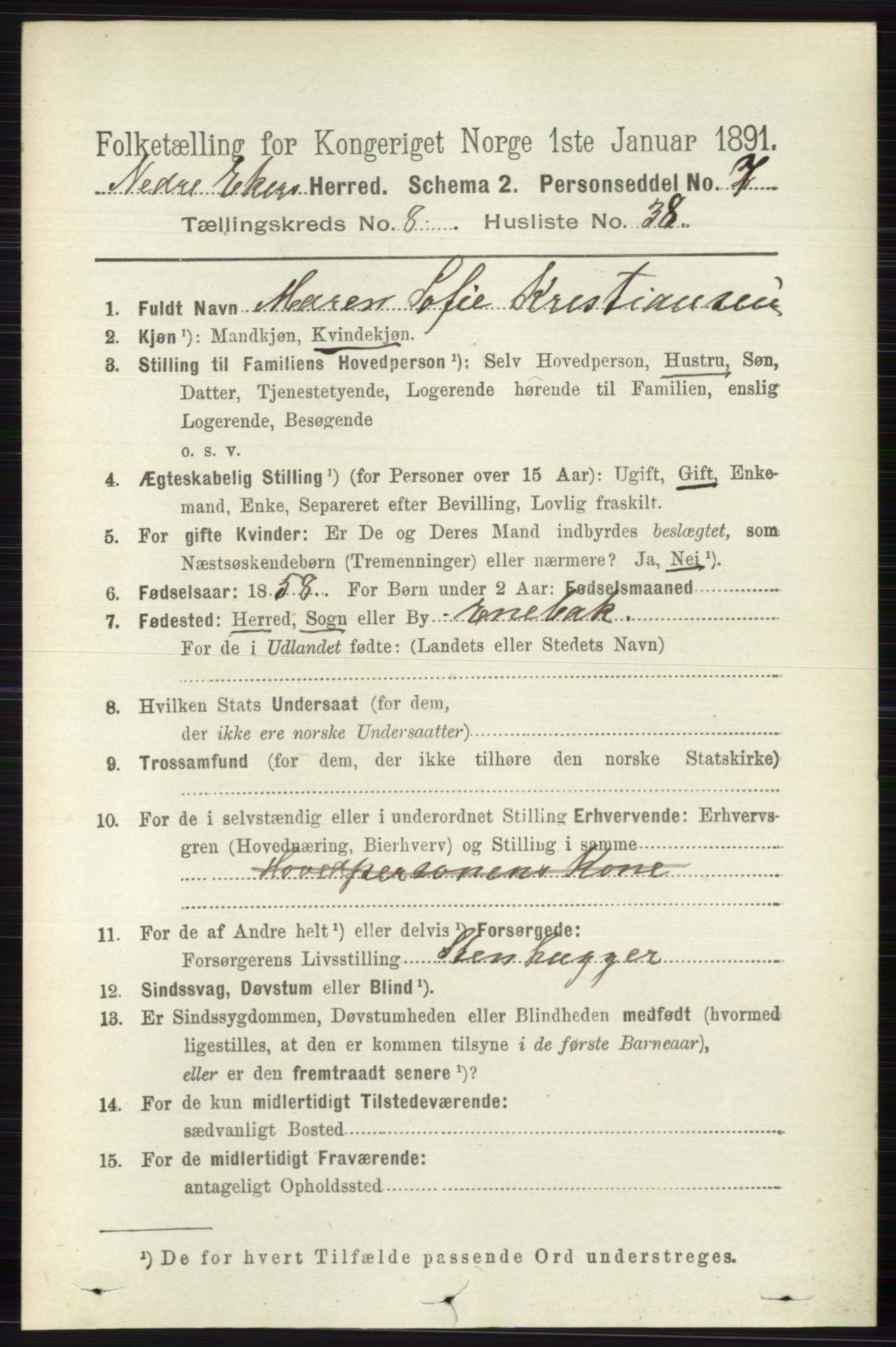 RA, 1891 census for 0625 Nedre Eiker, 1891, p. 4193