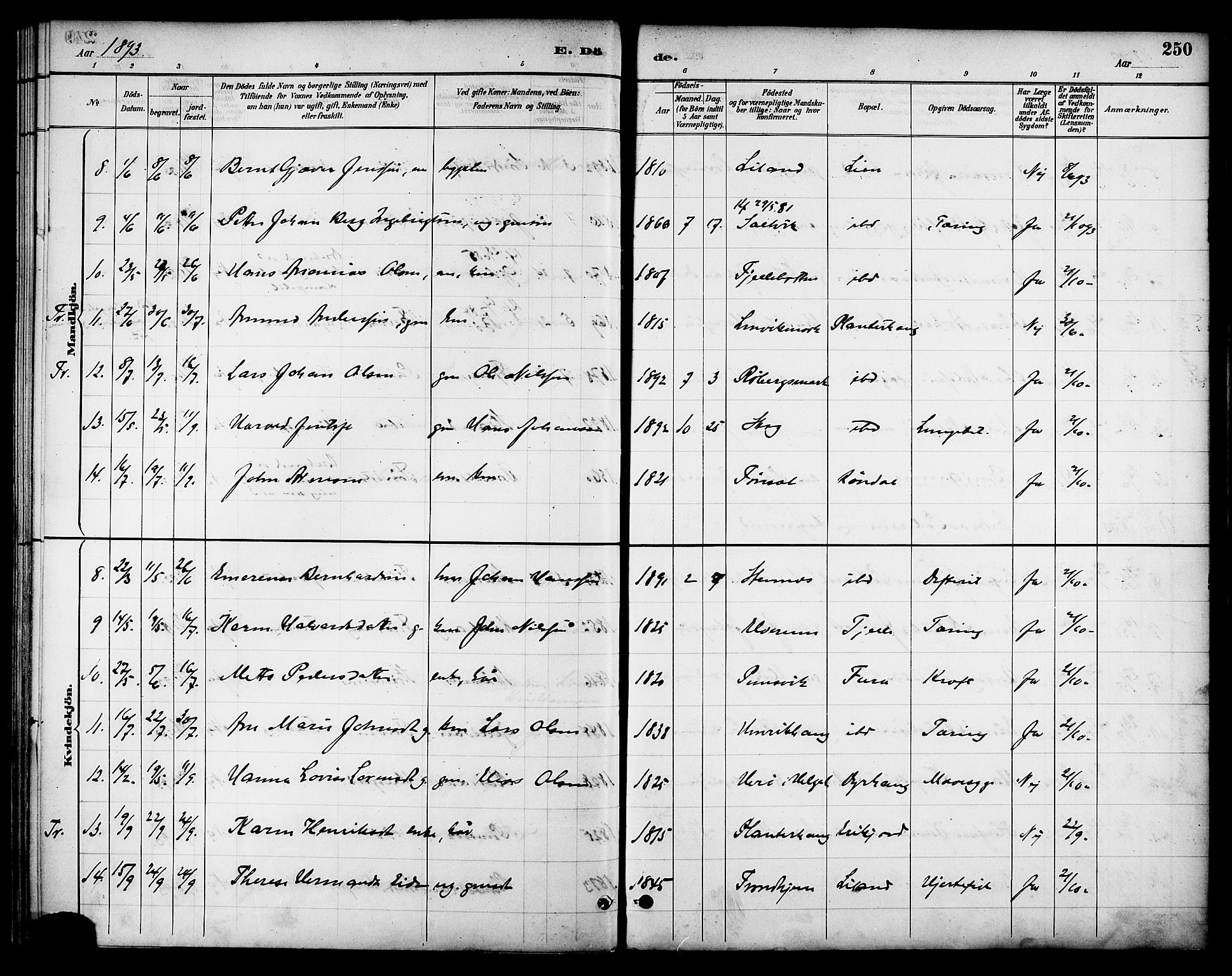 Ministerialprotokoller, klokkerbøker og fødselsregistre - Nordland, AV/SAT-A-1459/863/L0898: Parish register (official) no. 863A10, 1886-1897, p. 250