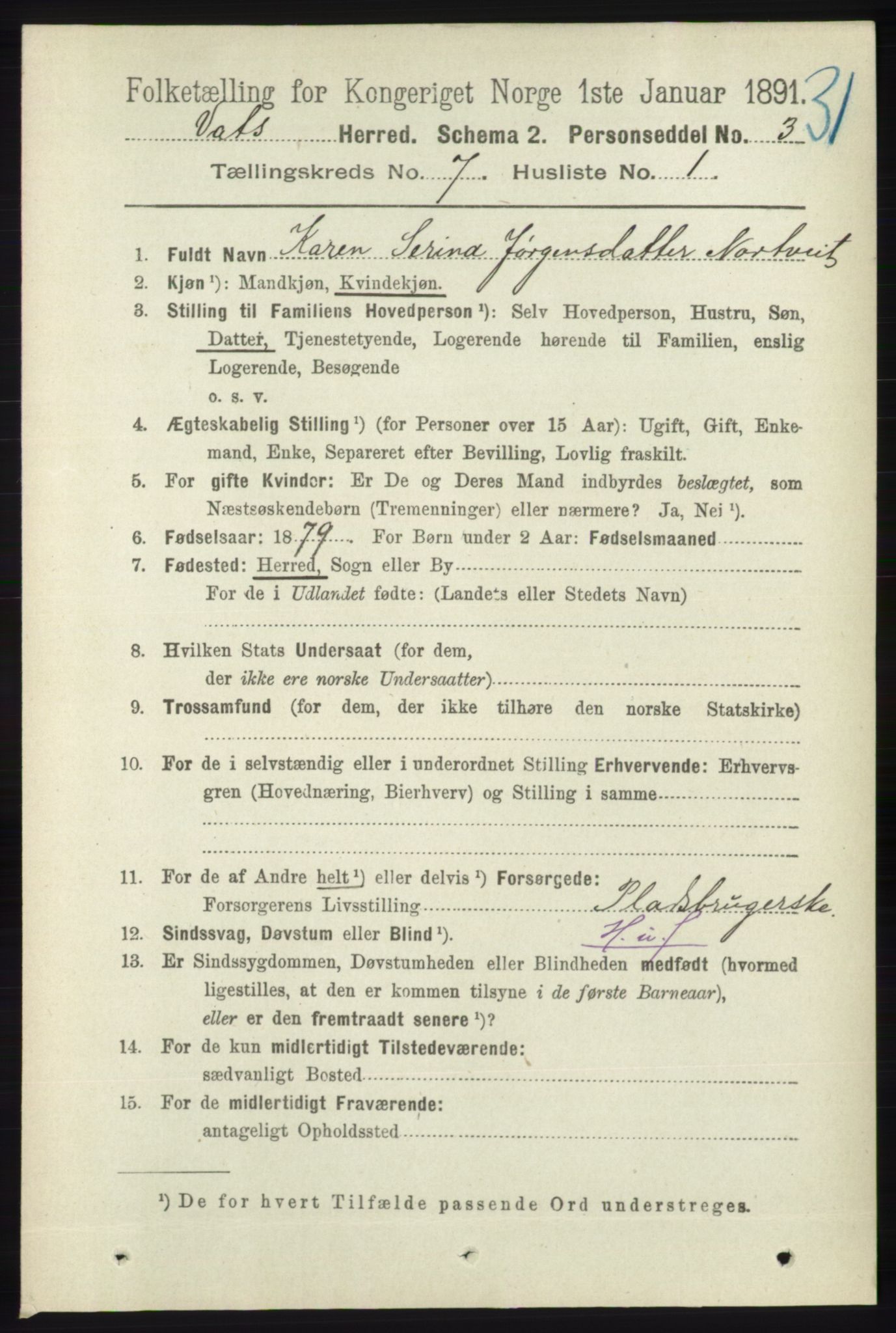 RA, 1891 census for 1155 Vats, 1891, p. 1102