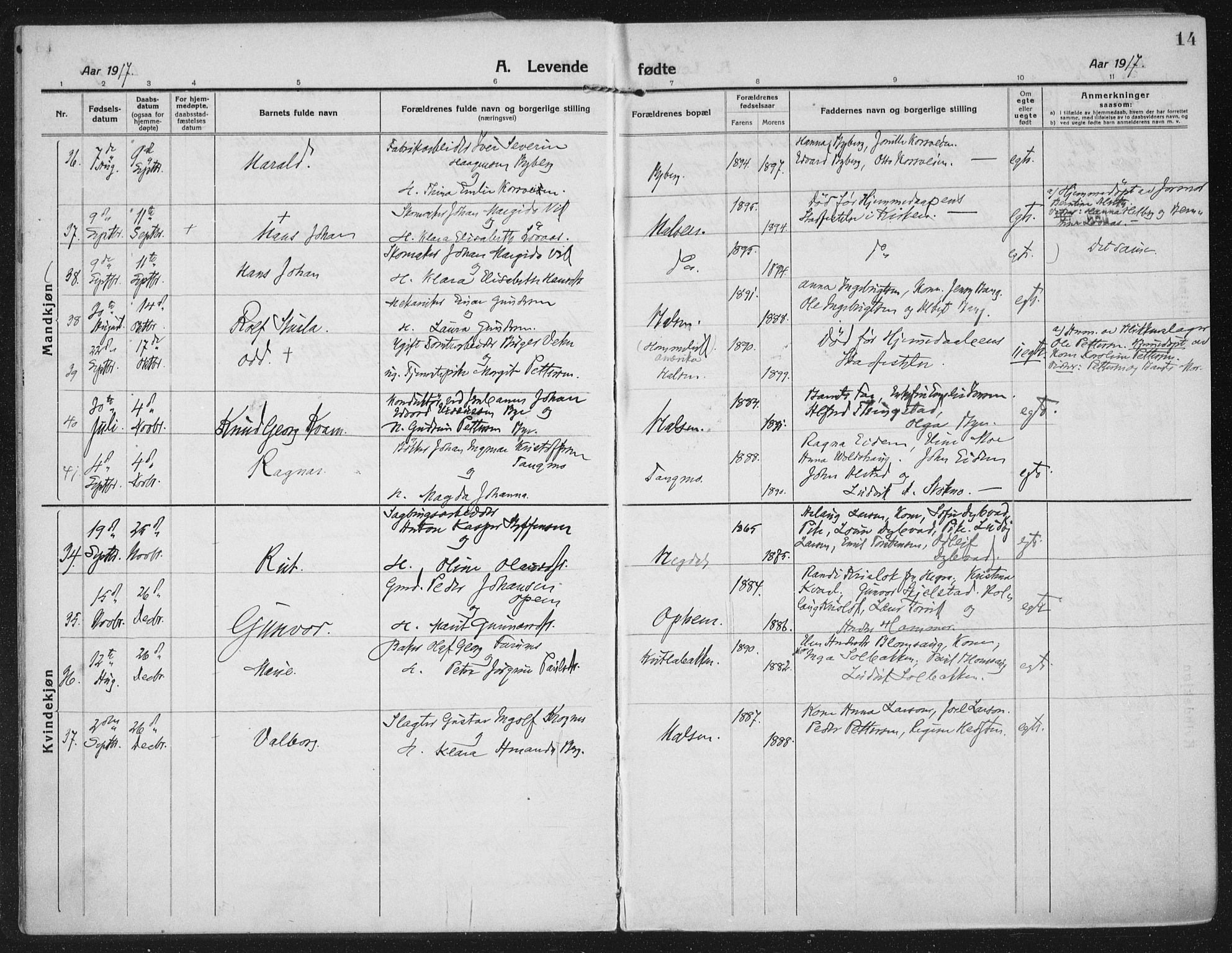 Ministerialprotokoller, klokkerbøker og fødselsregistre - Nord-Trøndelag, SAT/A-1458/709/L0083: Parish register (official) no. 709A23, 1916-1928, p. 14
