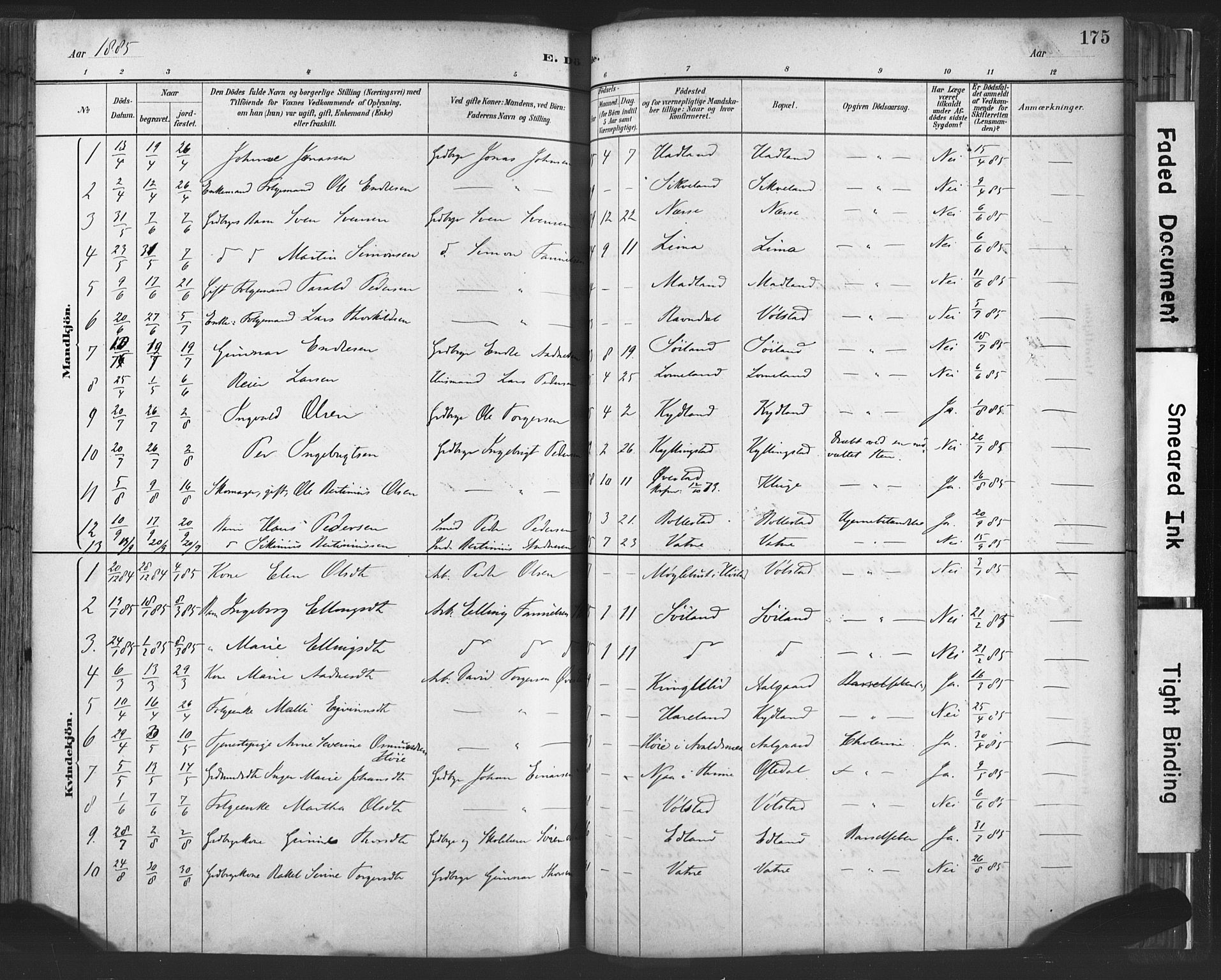 Lye sokneprestkontor, SAST/A-101794/001/30BA/L0010: Parish register (official) no. A 10, 1881-1896, p. 175