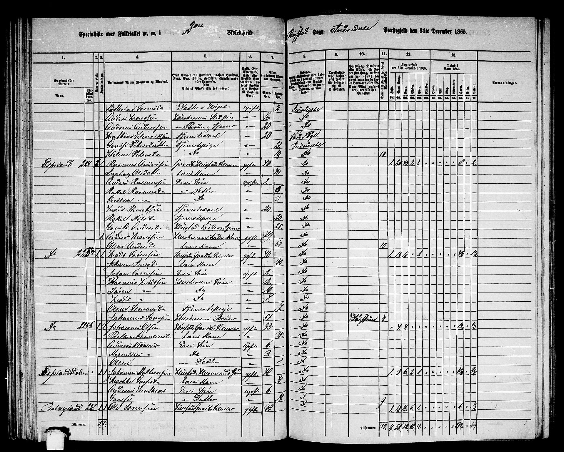 RA, 1865 census for Indre Holmedal, 1865, p. 63