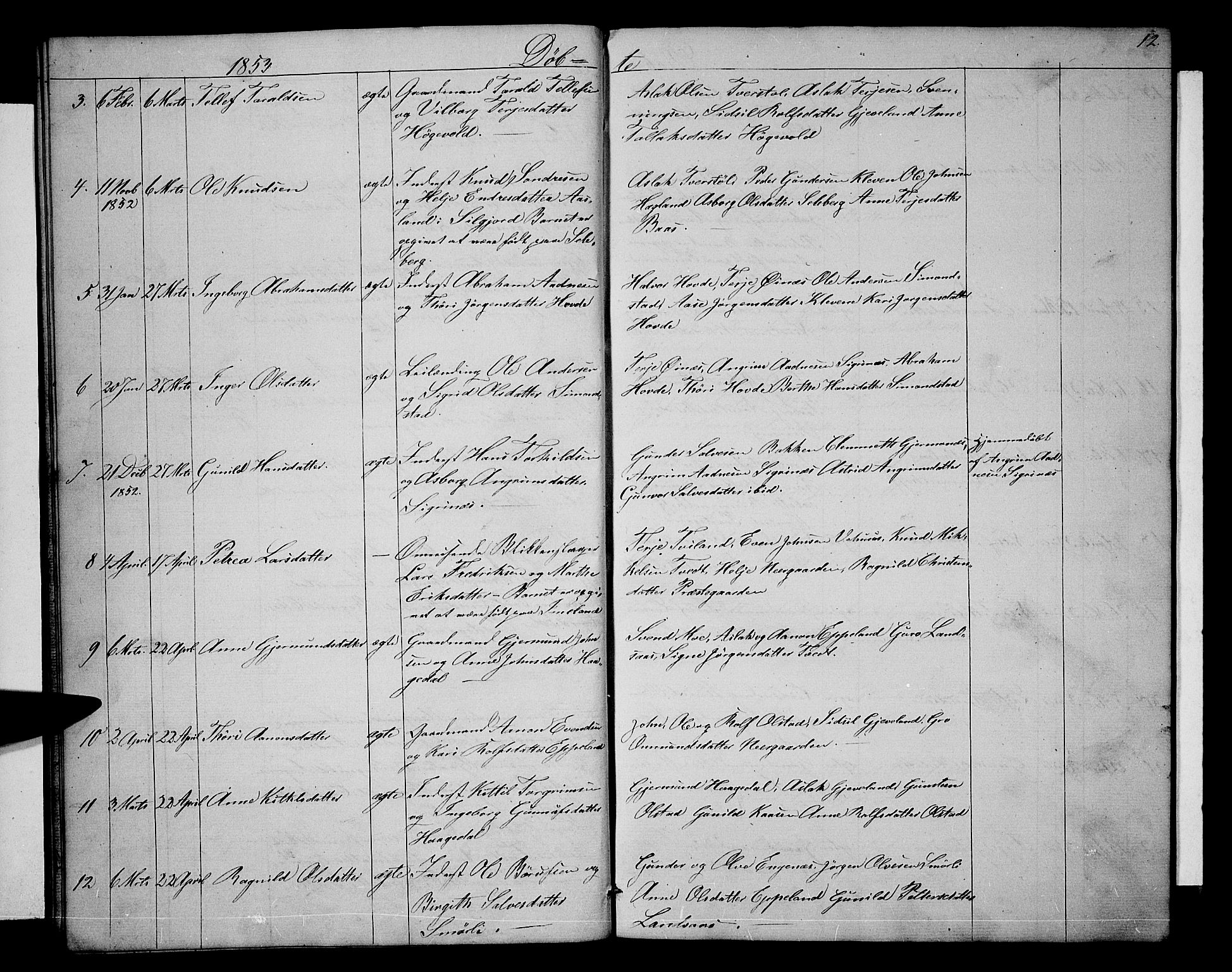 Åmli sokneprestkontor, AV/SAK-1111-0050/F/Fb/Fbc/L0002: Parish register (copy) no. B 2, 1850-1867, p. 12