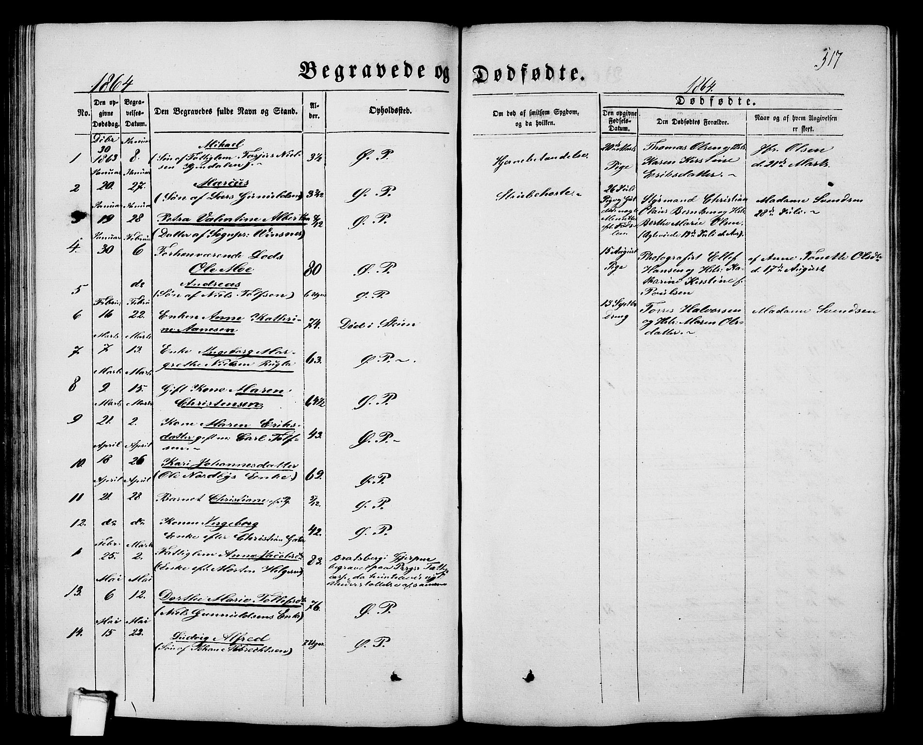 Porsgrunn kirkebøker , AV/SAKO-A-104/G/Gb/L0004: Parish register (copy) no. II 4, 1853-1882, p. 517