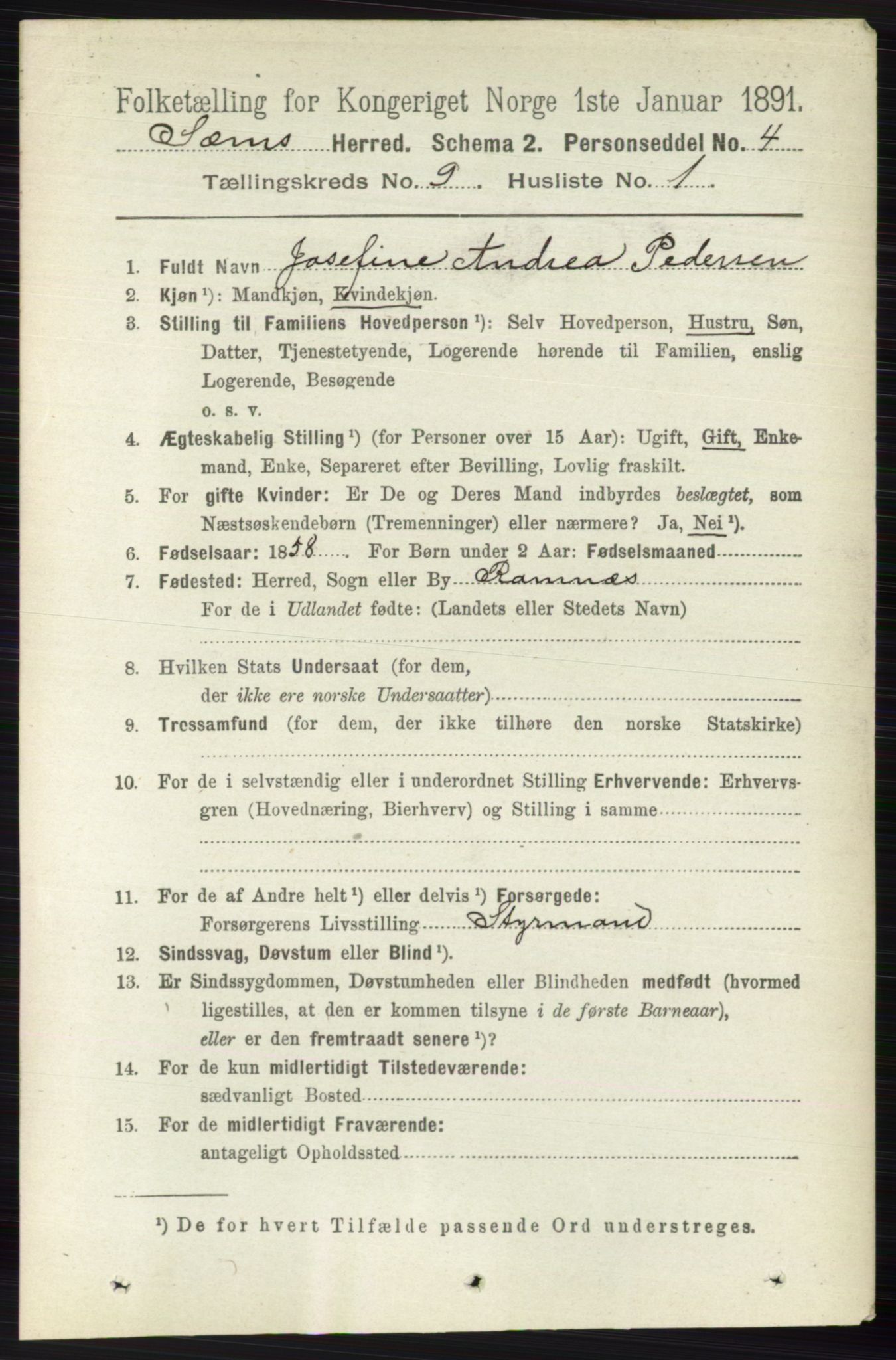 RA, 1891 census for 0721 Sem, 1891, p. 4251