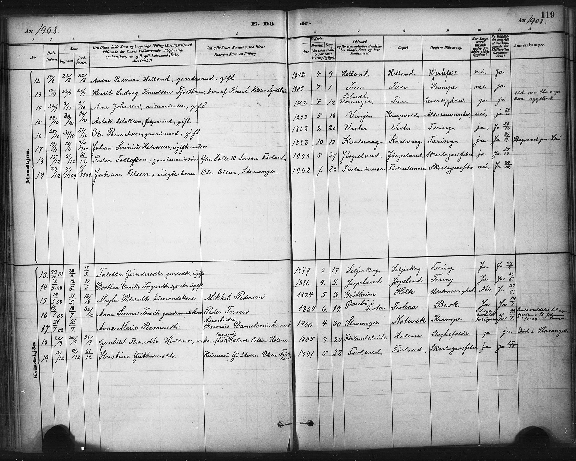 Strand sokneprestkontor, AV/SAST-A-101828/H/Ha/Haa/L0010: Parish register (official) no. A 10, 1882-1929, p. 119