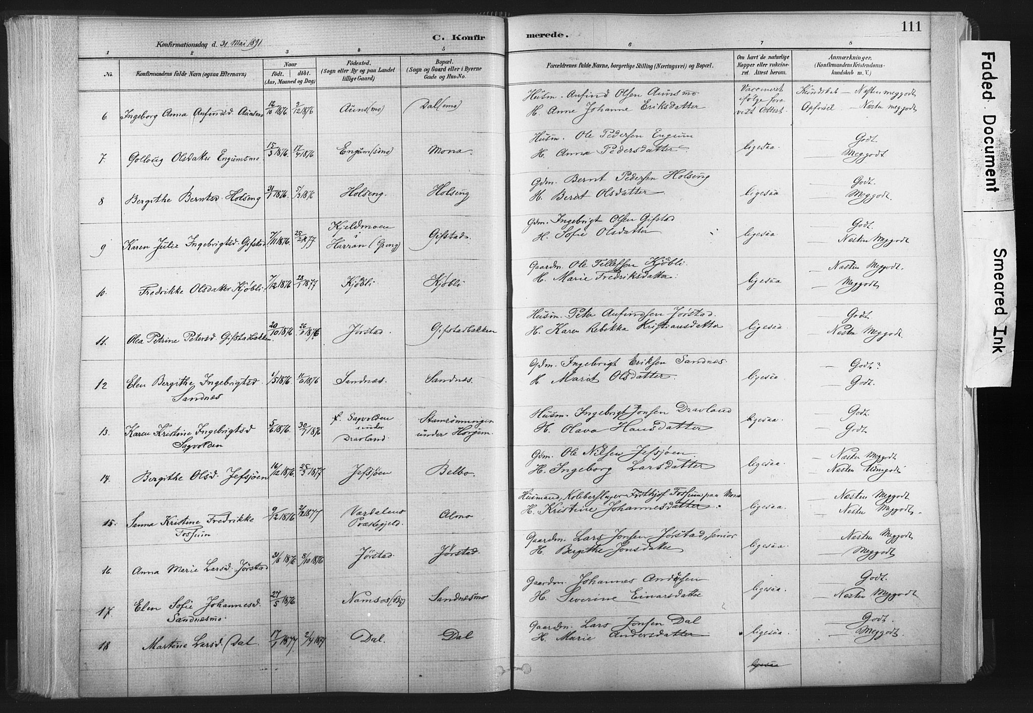 Ministerialprotokoller, klokkerbøker og fødselsregistre - Nord-Trøndelag, AV/SAT-A-1458/749/L0474: Parish register (official) no. 749A08, 1887-1903, p. 111