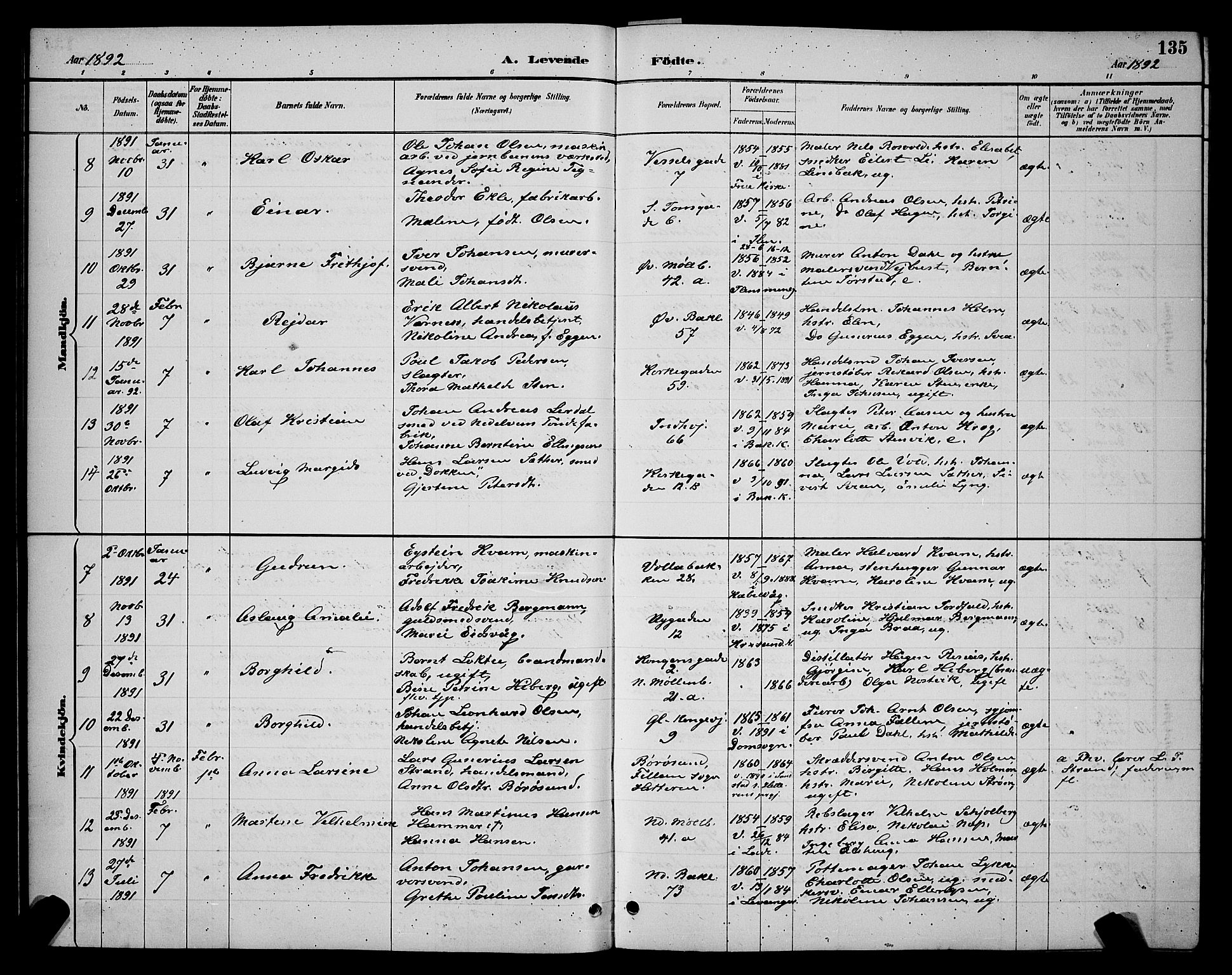 Ministerialprotokoller, klokkerbøker og fødselsregistre - Sør-Trøndelag, SAT/A-1456/604/L0222: Parish register (copy) no. 604C05, 1886-1895, p. 135