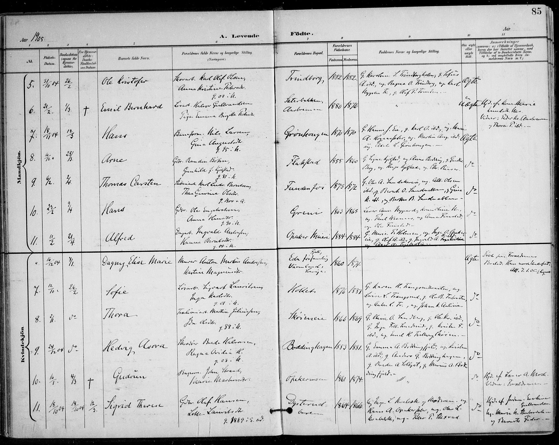 Nes prestekontor Kirkebøker, AV/SAO-A-10410/F/Fa/L0011: Parish register (official) no. I 11, 1899-1918, p. 85