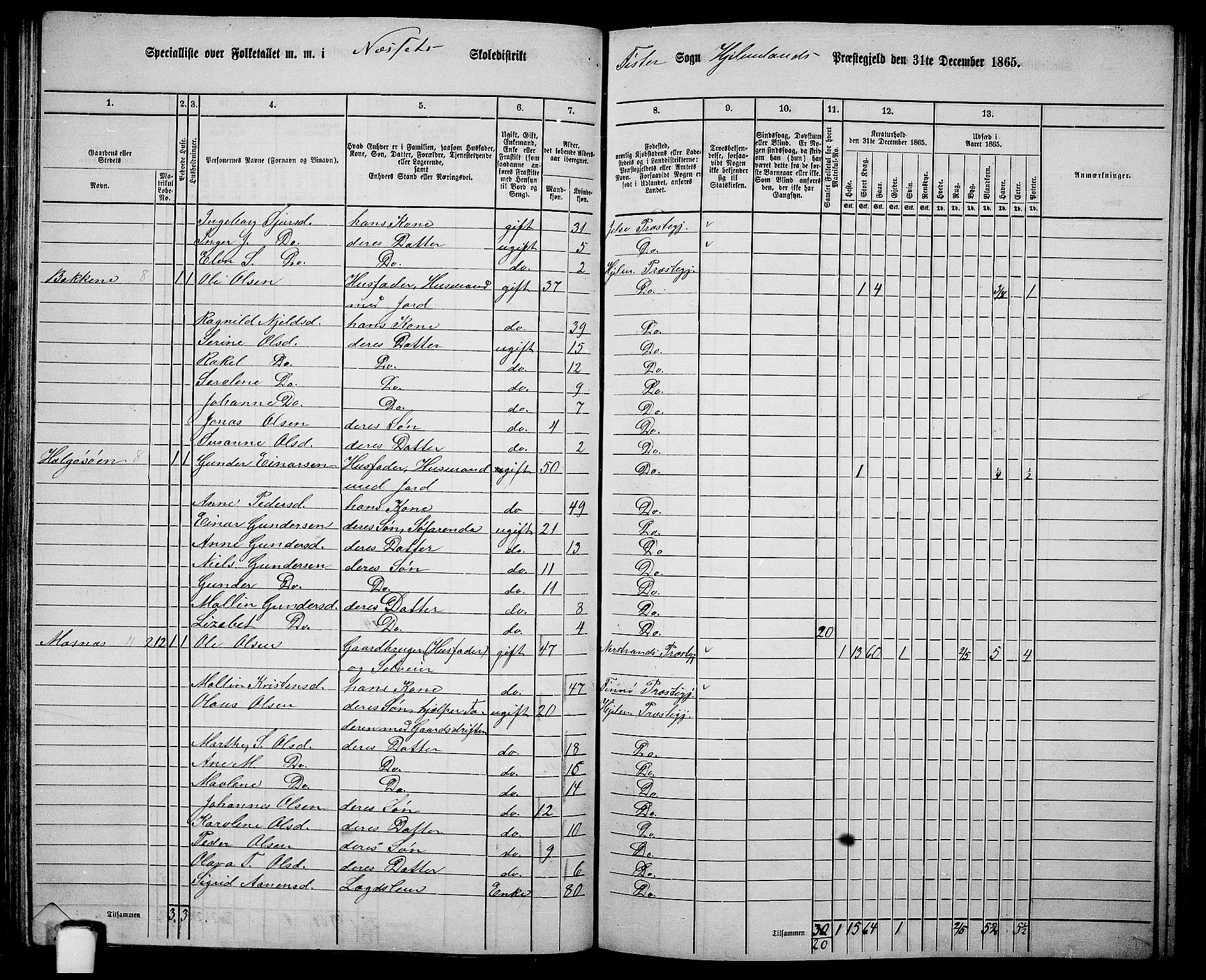 RA, 1865 census for Hjelmeland, 1865, p. 123