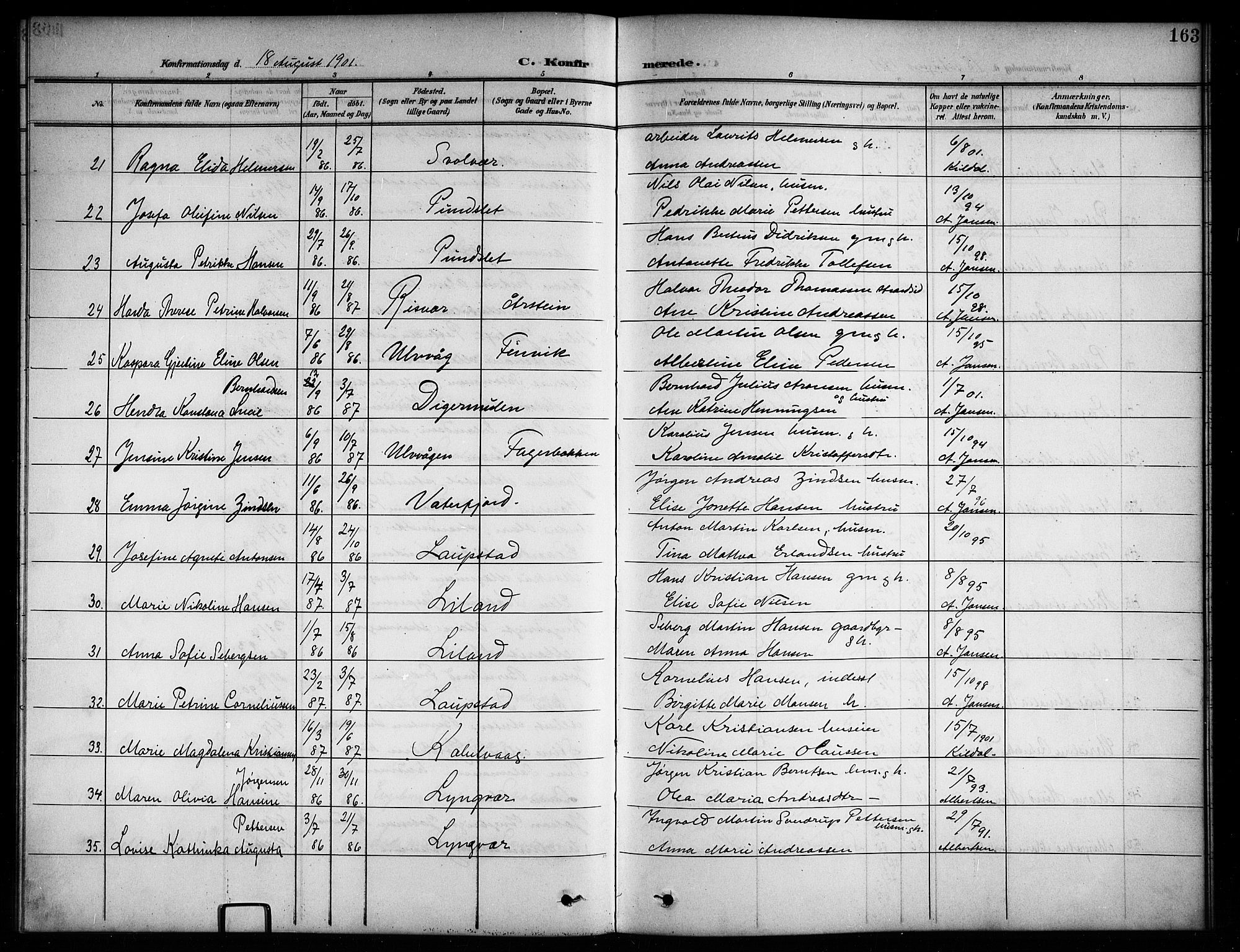 Ministerialprotokoller, klokkerbøker og fødselsregistre - Nordland, AV/SAT-A-1459/874/L1078: Parish register (copy) no. 874C07, 1900-1907, p. 163