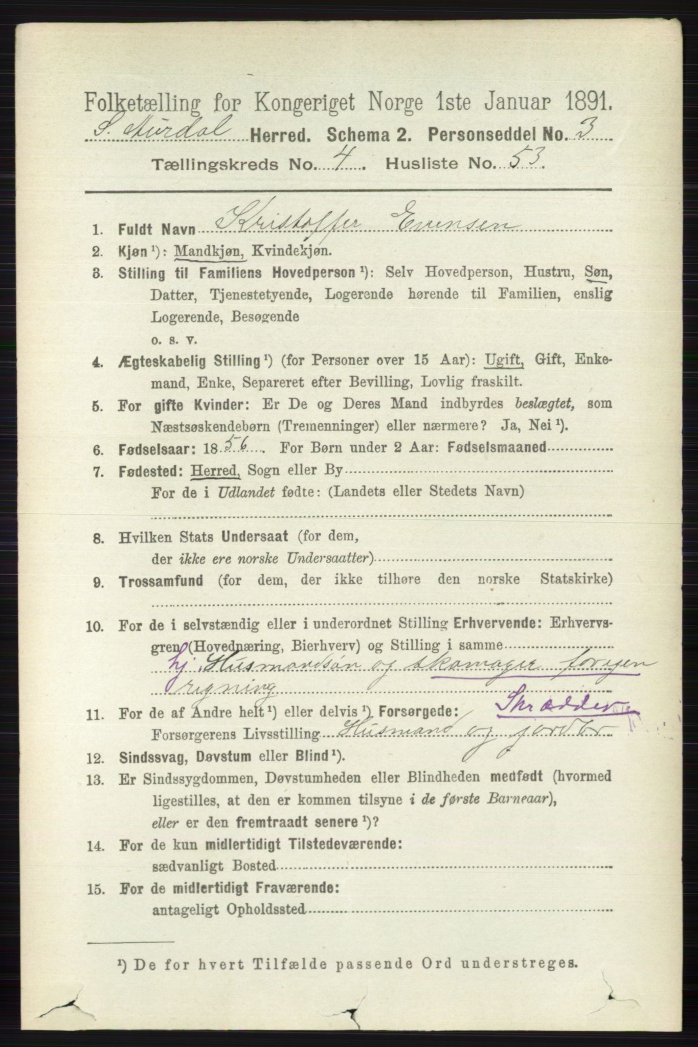 RA, 1891 census for 0540 Sør-Aurdal, 1891, p. 3064