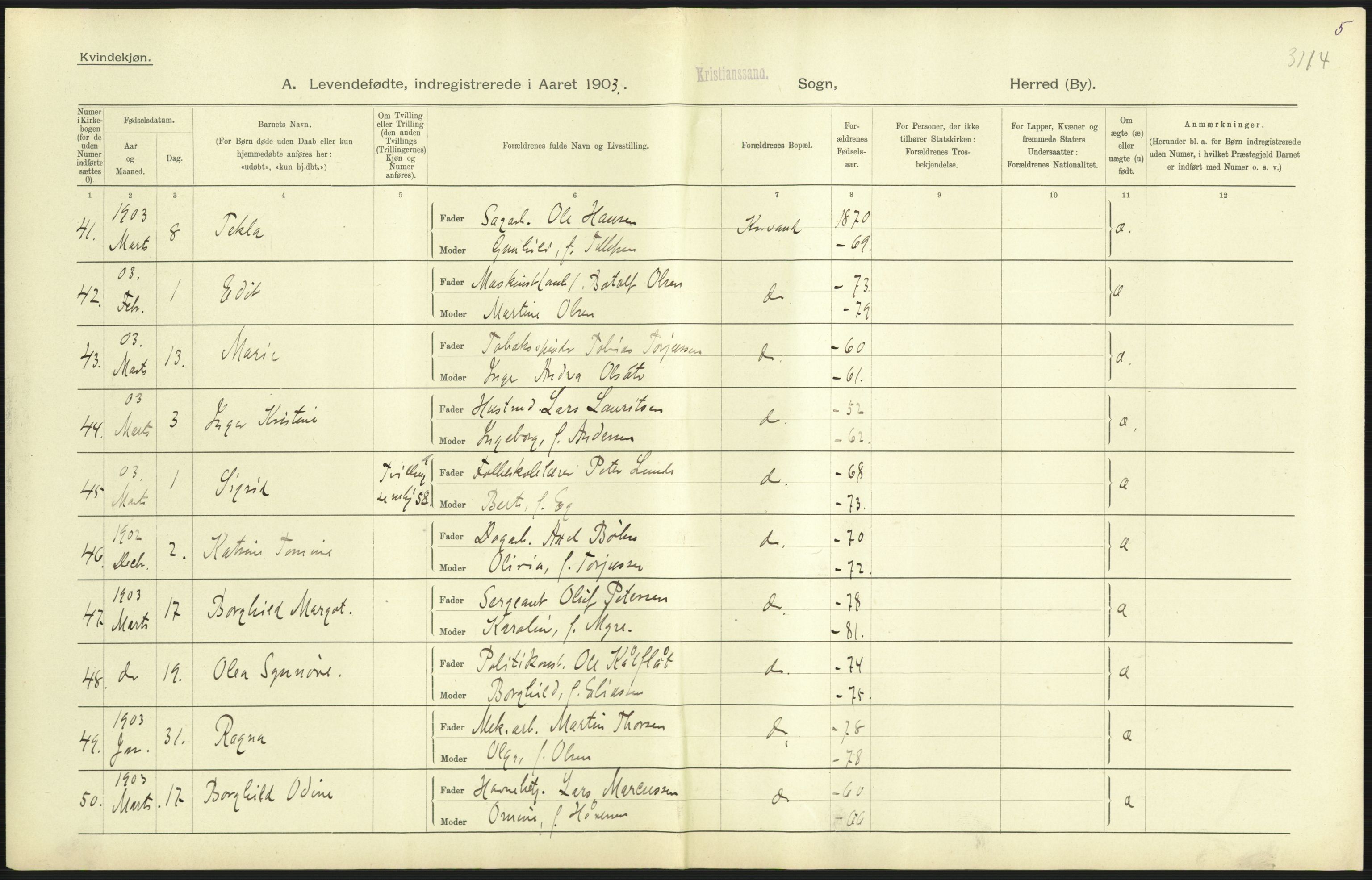 Statistisk sentralbyrå, Sosiodemografiske emner, Befolkning, AV/RA-S-2228/D/Df/Dfa/Dfaa/L0011: Lister og Mandal amt: Fødte, gifte, døde, 1903, p. 263