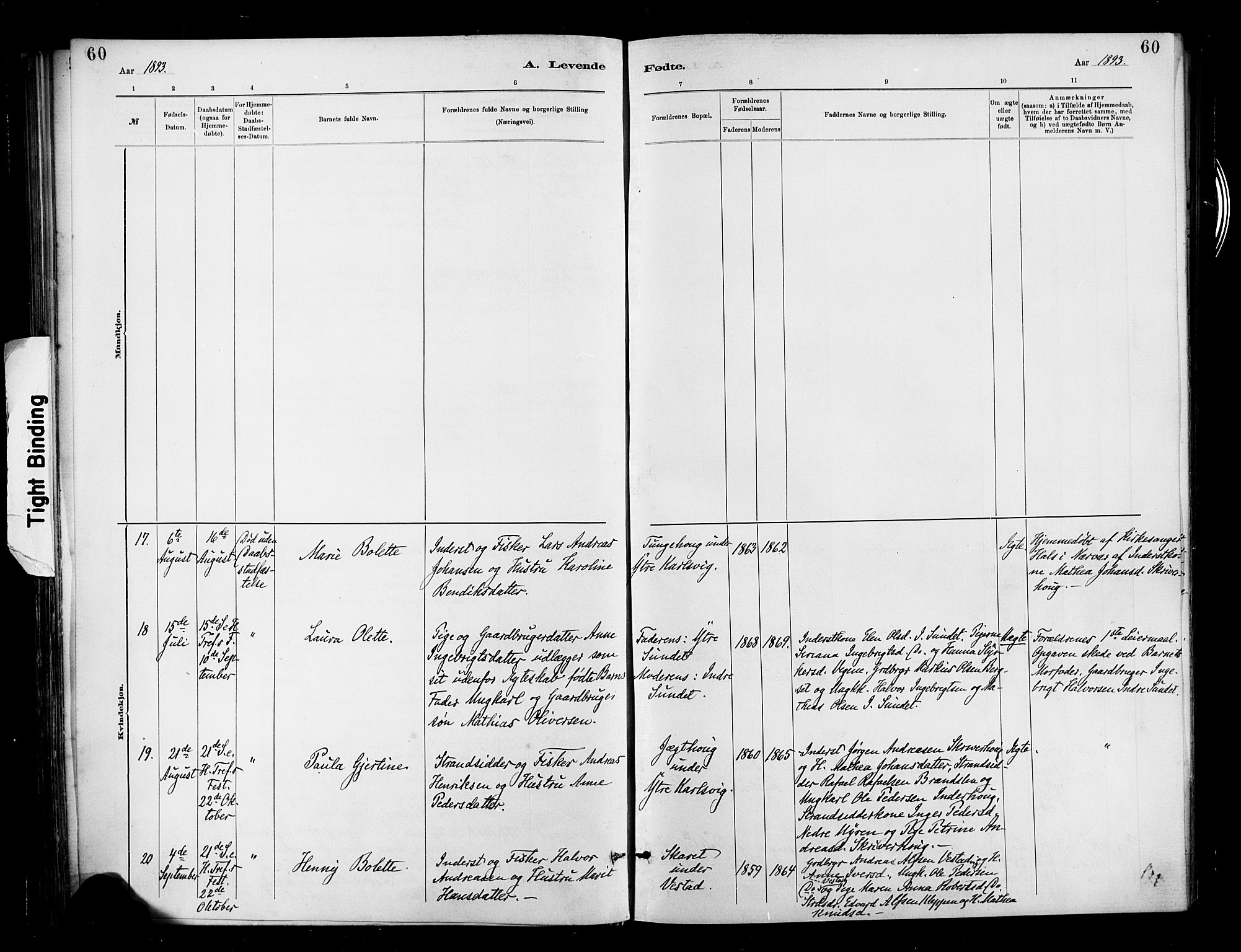 Ministerialprotokoller, klokkerbøker og fødselsregistre - Møre og Romsdal, AV/SAT-A-1454/566/L0769: Parish register (official) no. 566A08, 1881-1903, p. 60