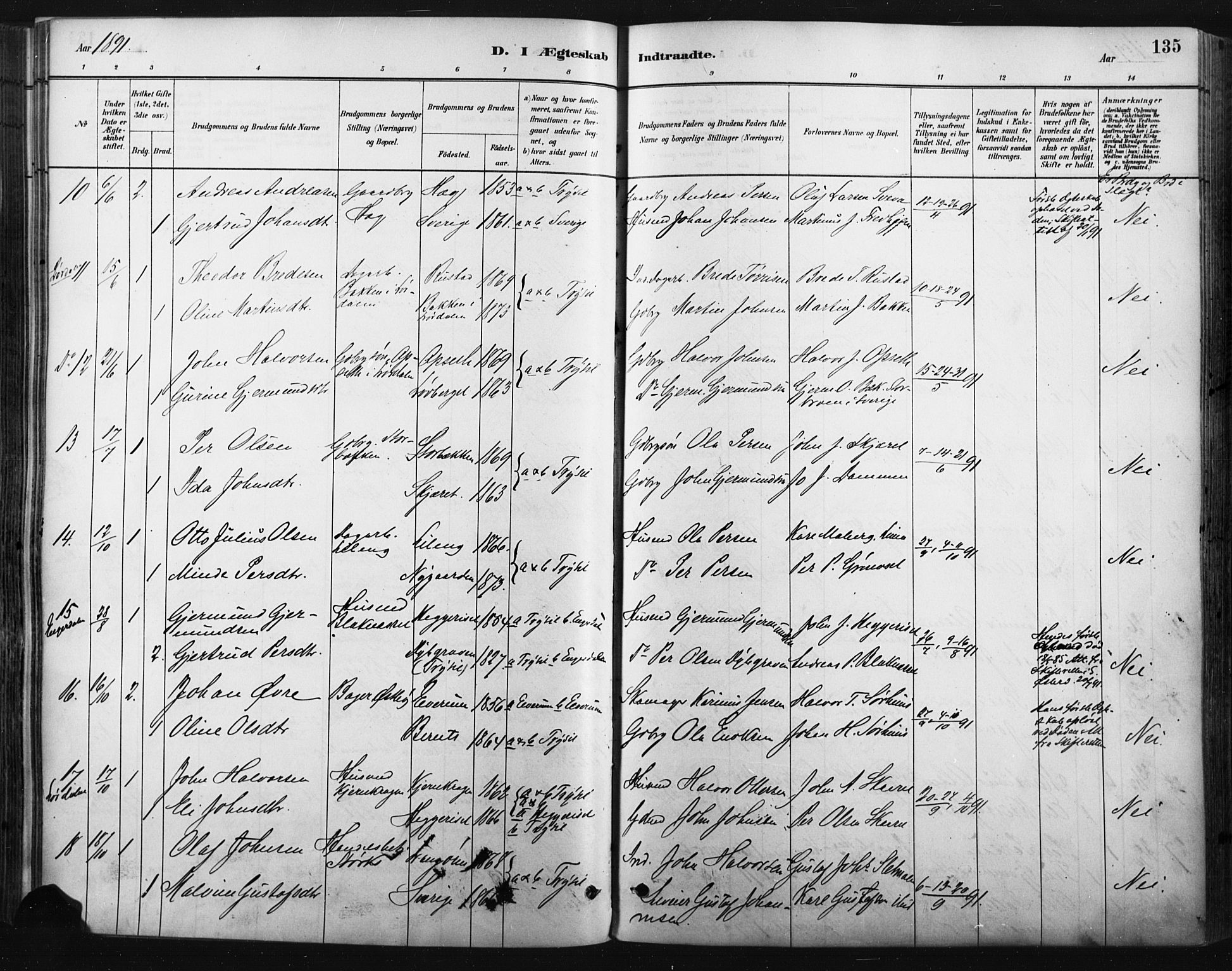 Trysil prestekontor, SAH/PREST-046/H/Ha/Haa/L0009: Parish register (official) no. 9, 1881-1897, p. 135