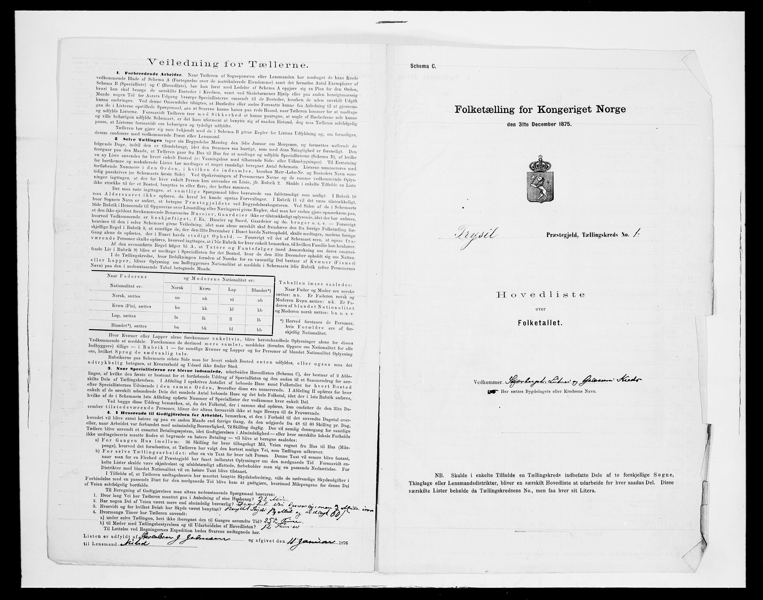 SAH, 1875 census for 0428P Trysil, 1875, p. 17