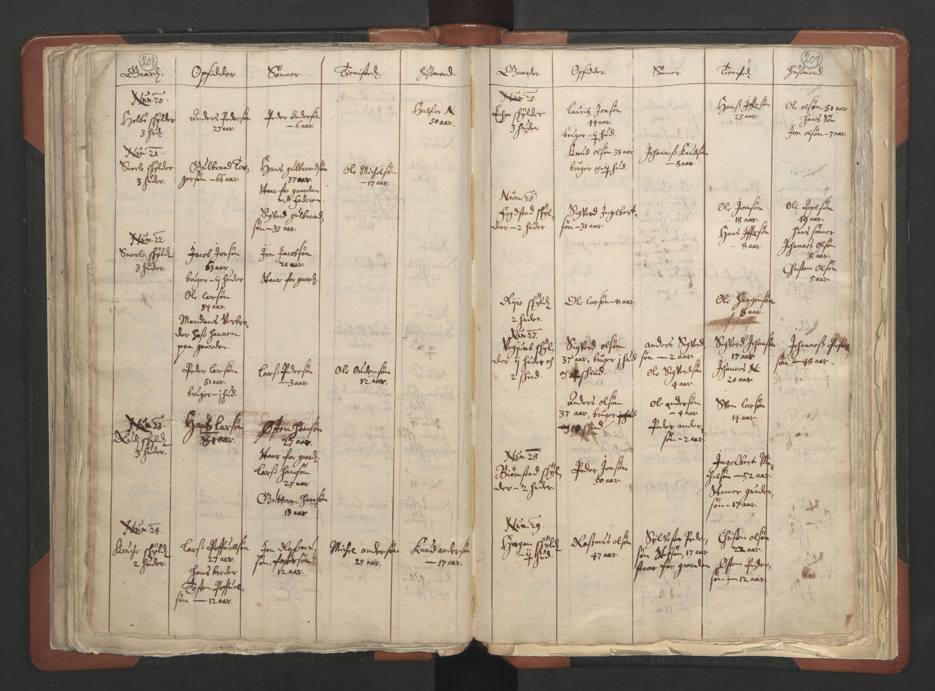 RA, Vicar's Census 1664-1666, no. 6: Gudbrandsdal deanery, 1664-1666, p. 208-209