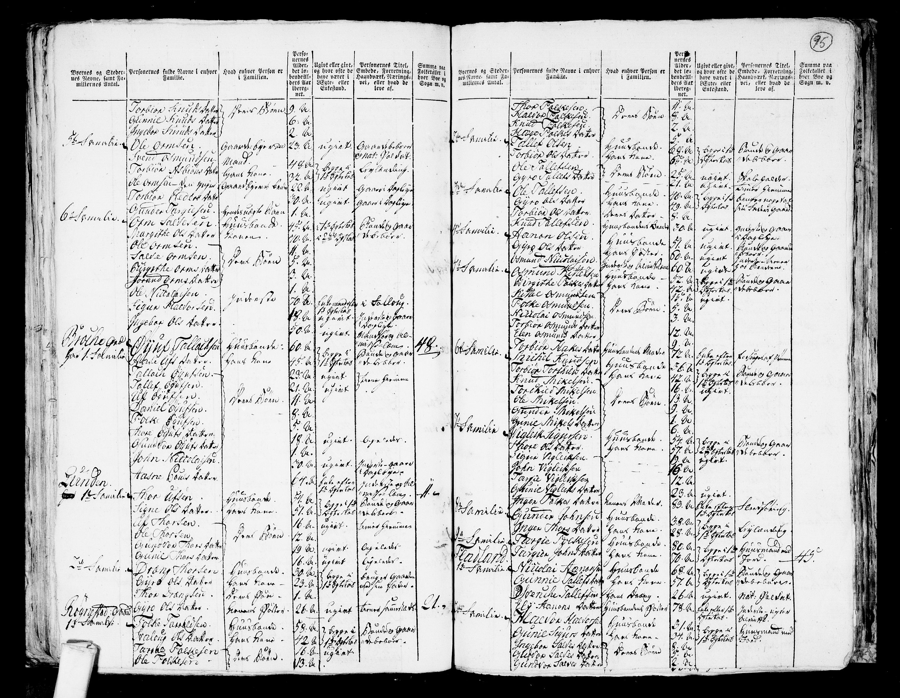 RA, 1801 census for 0940P Valle, 1801, p. 94b-95a