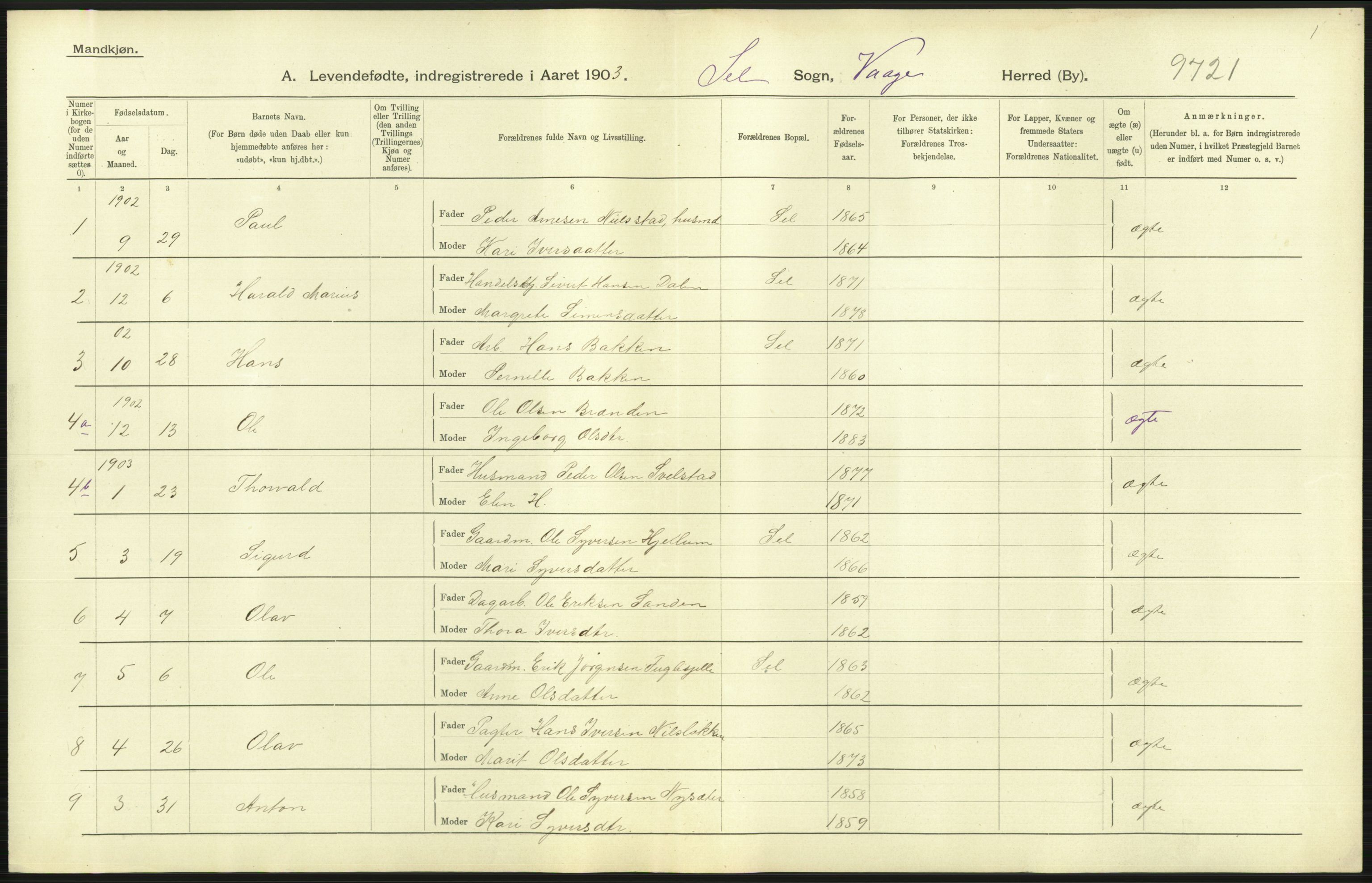 Statistisk sentralbyrå, Sosiodemografiske emner, Befolkning, AV/RA-S-2228/D/Df/Dfa/Dfaa/L0006: Kristians amt: Fødte, gifte, døde, 1903, p. 41