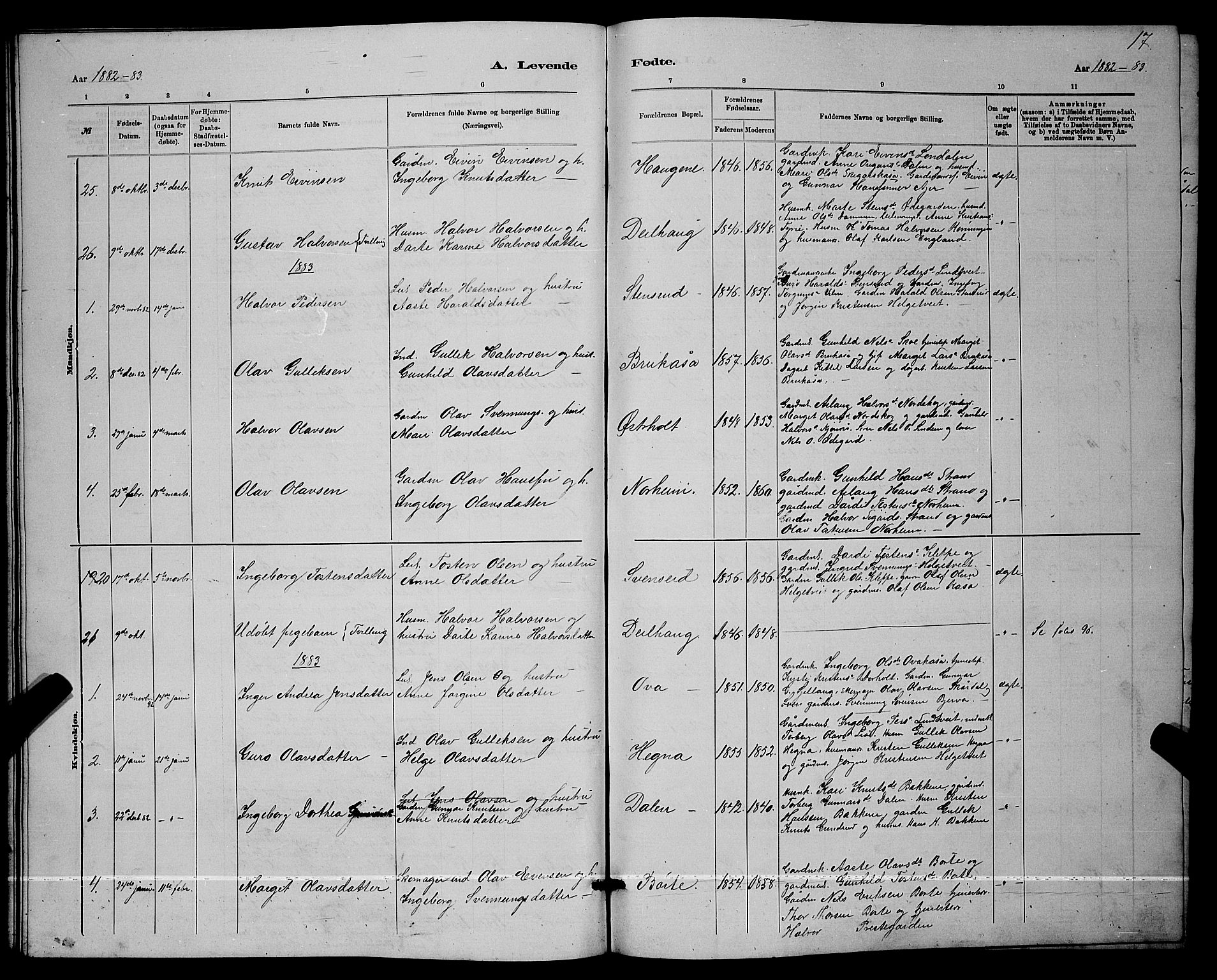 Lunde kirkebøker, AV/SAKO-A-282/G/Ga/L0001b: Parish register (copy) no. I 1, 1879-1887, p. 17