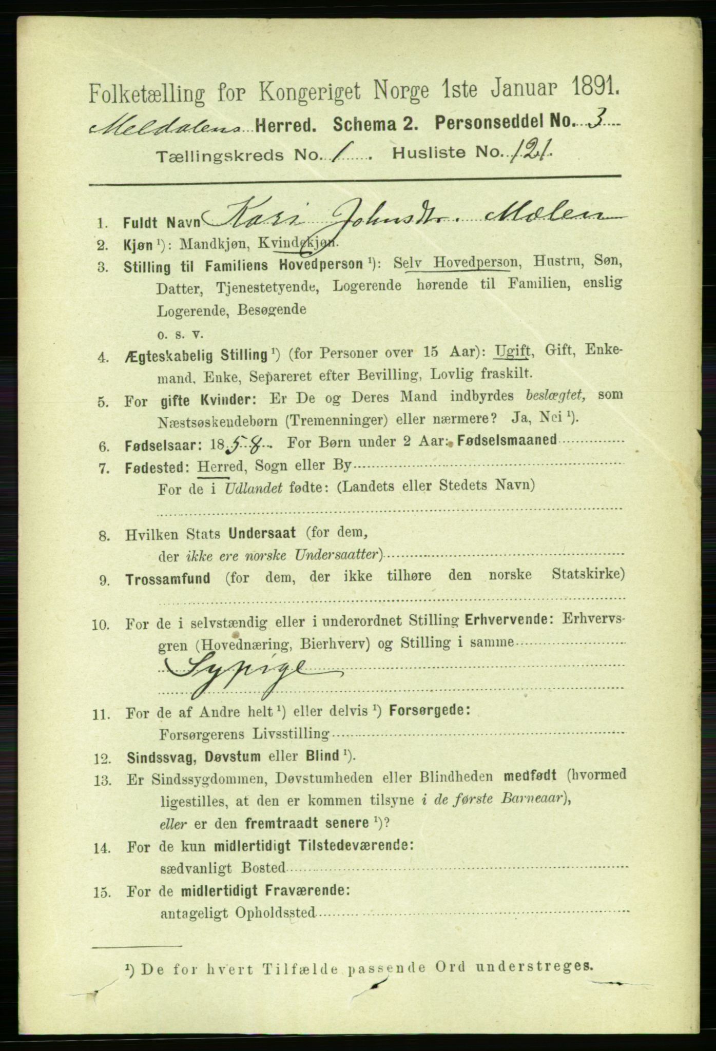 RA, 1891 census for 1636 Meldal, 1891, p. 932