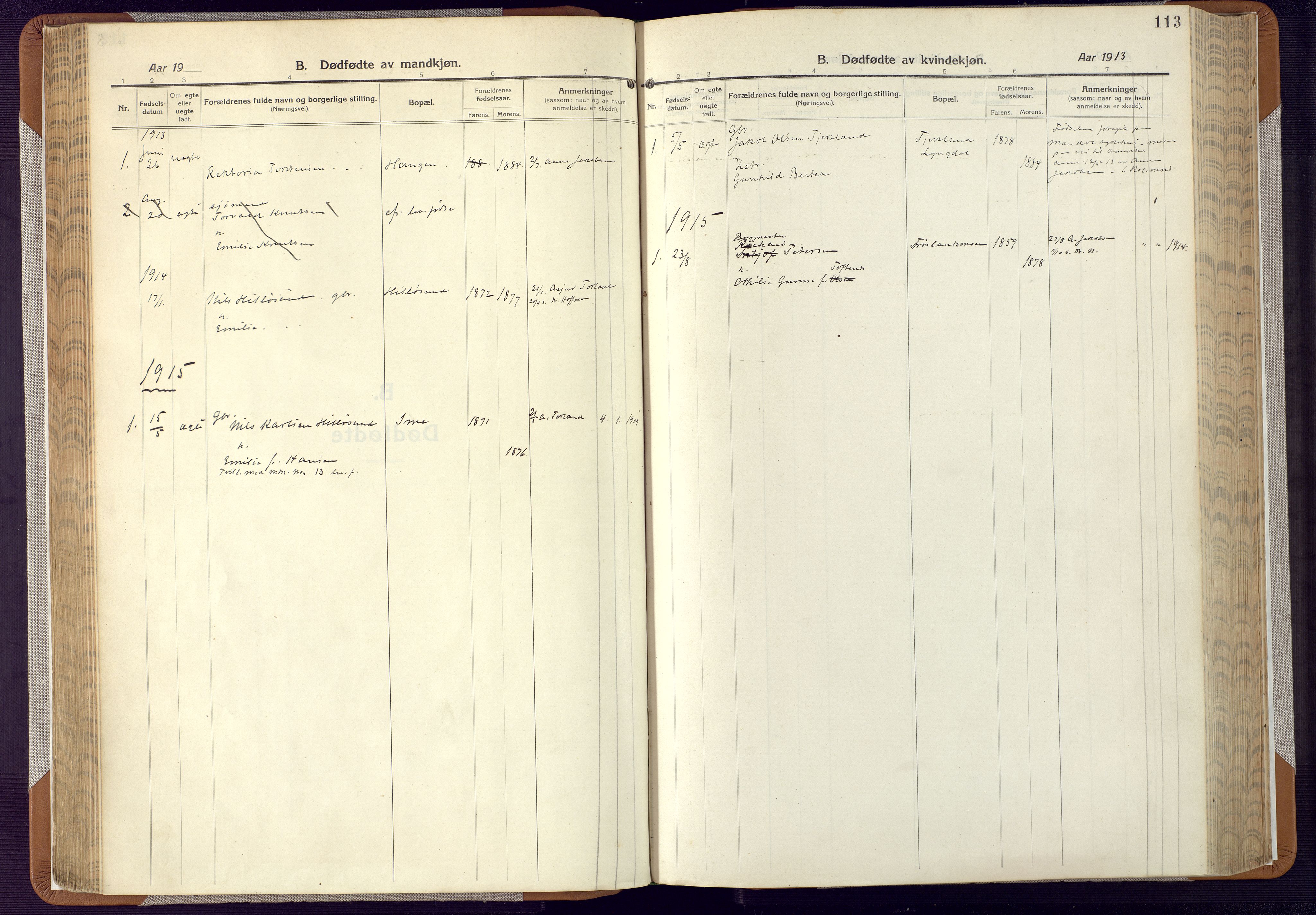 Mandal sokneprestkontor, SAK/1111-0030/F/Fa/Faa/L0022: Parish register (official) no. A 22, 1913-1925, p. 113